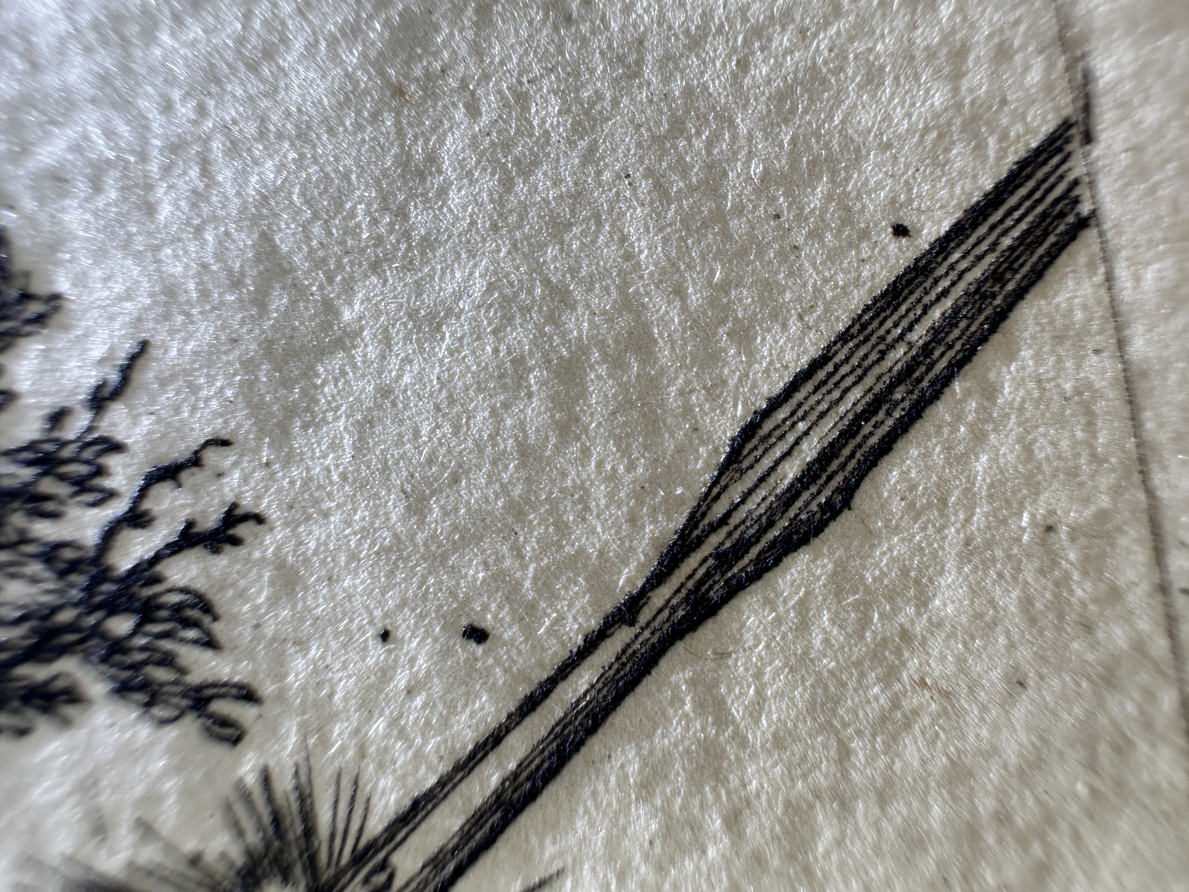 Fig.54 Macro Details