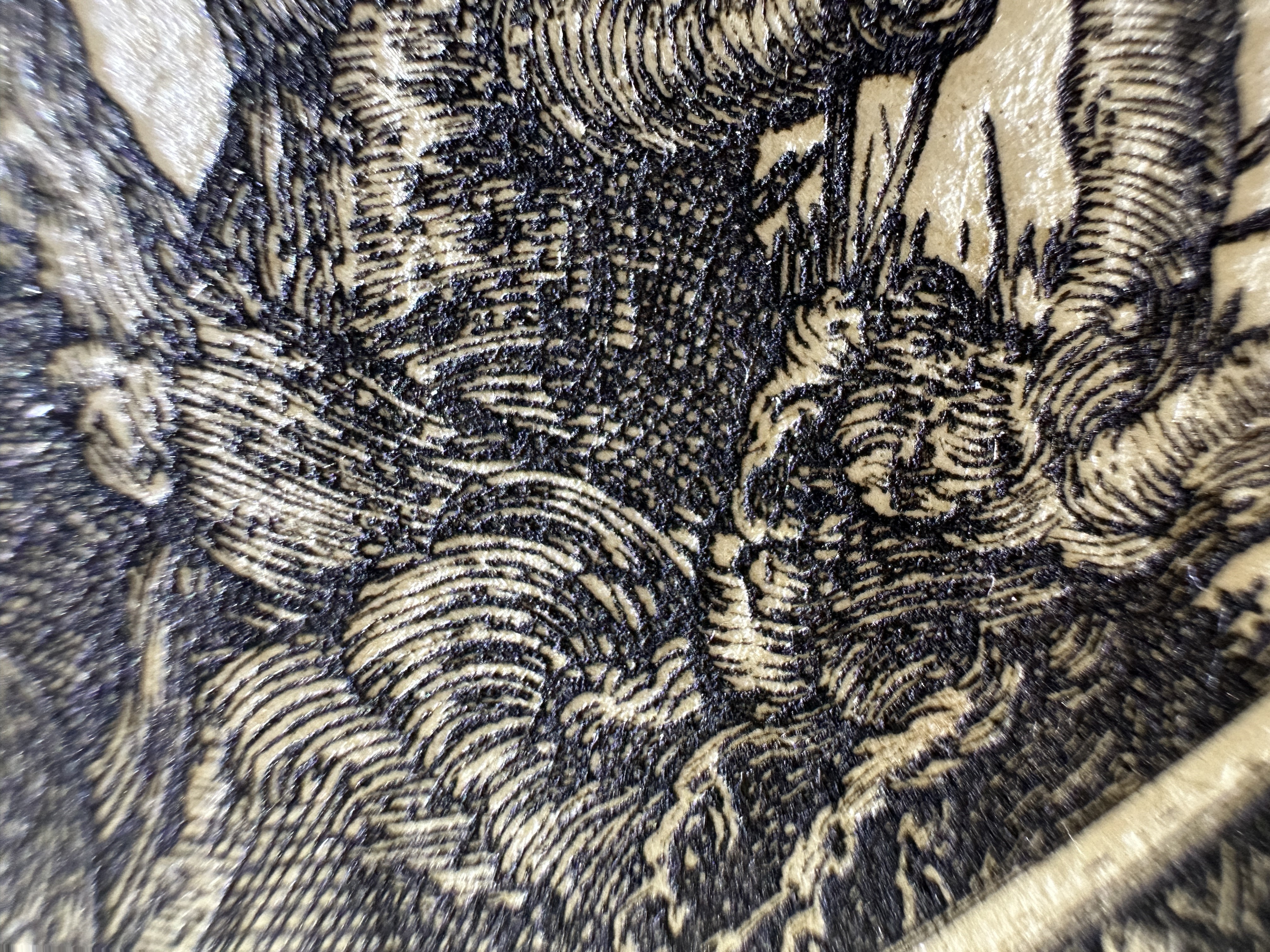 Fig.50 Macro Details