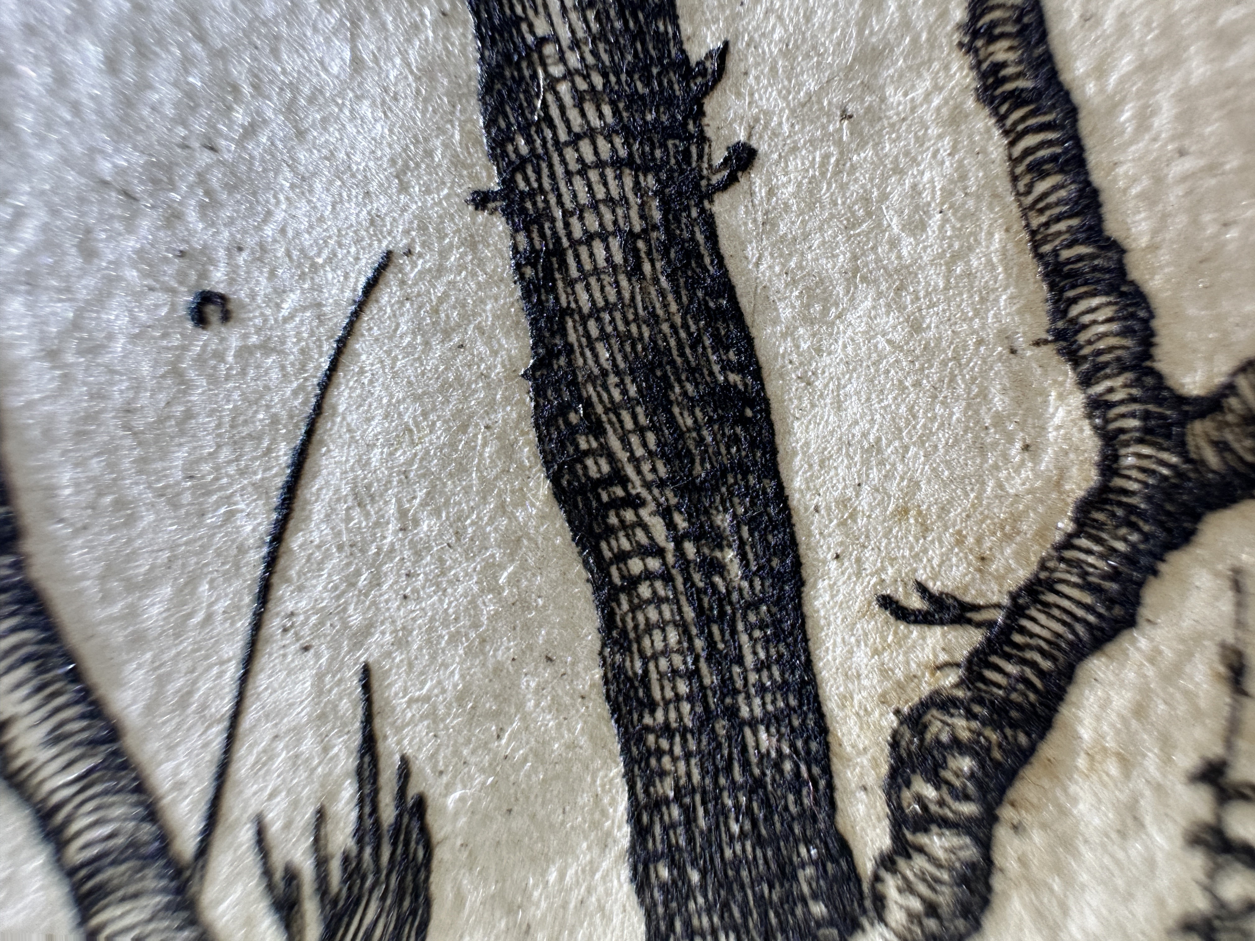 Fig.53 Macro Details