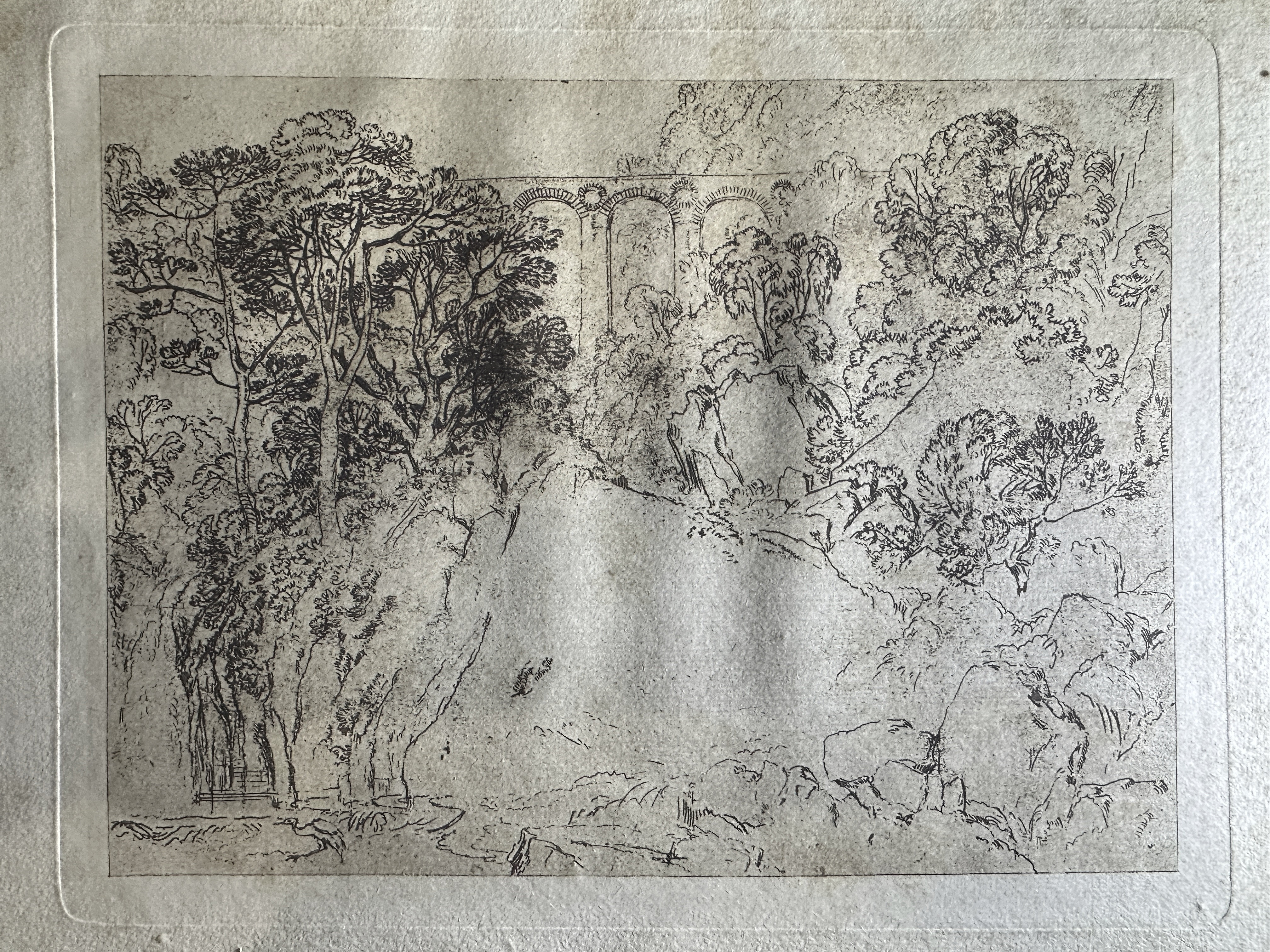 Figure 1. Full view of the print