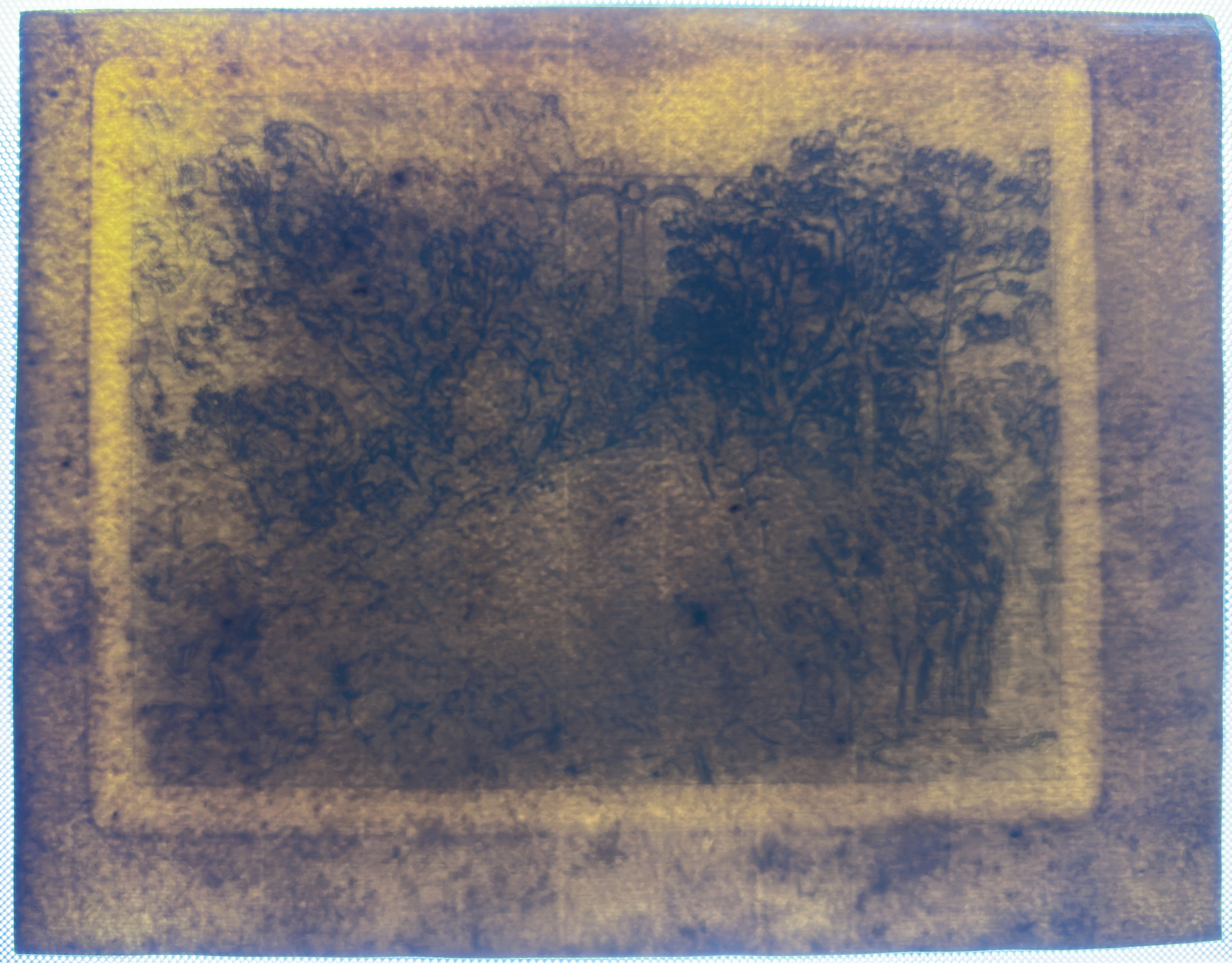 Transmitted light — full reverse