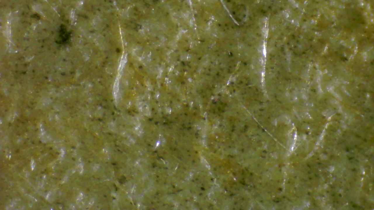 Microscopic fiber structure with embedded inclusions