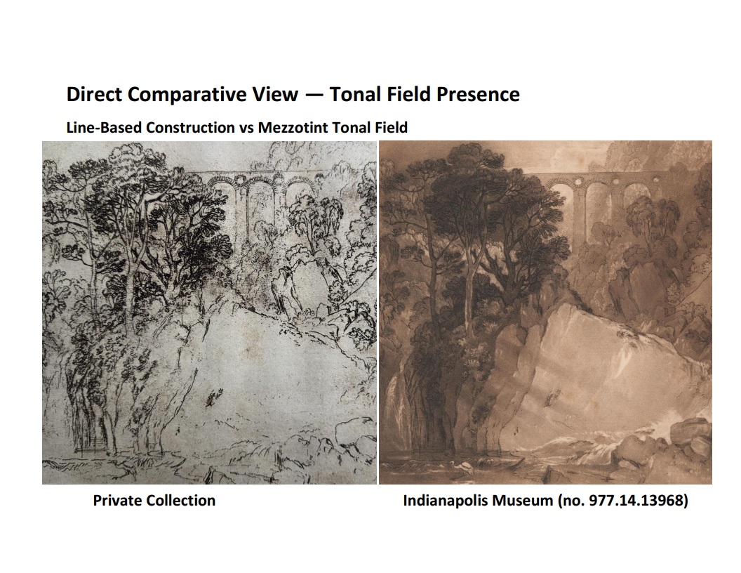 Direct Comparative View — Tonal Field Presence