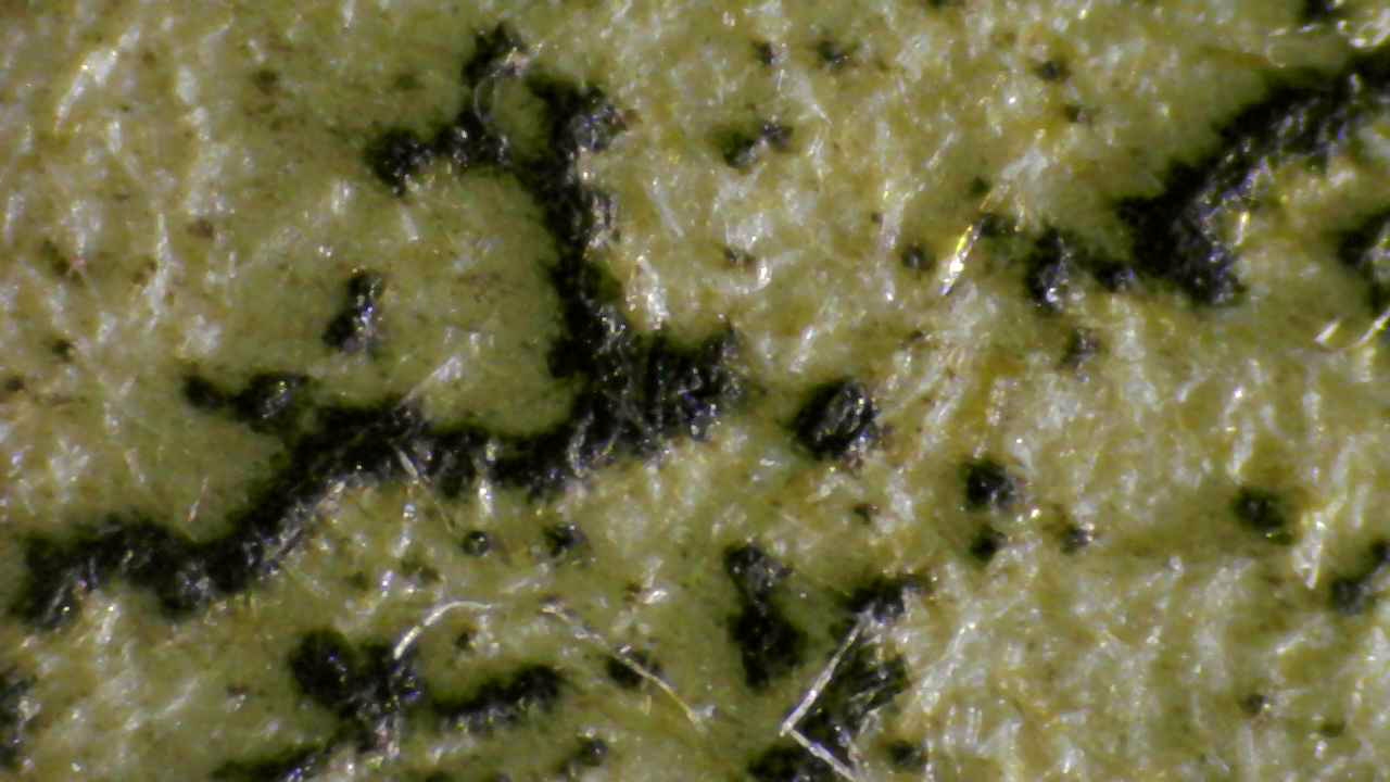 Fig.10 Micro Details