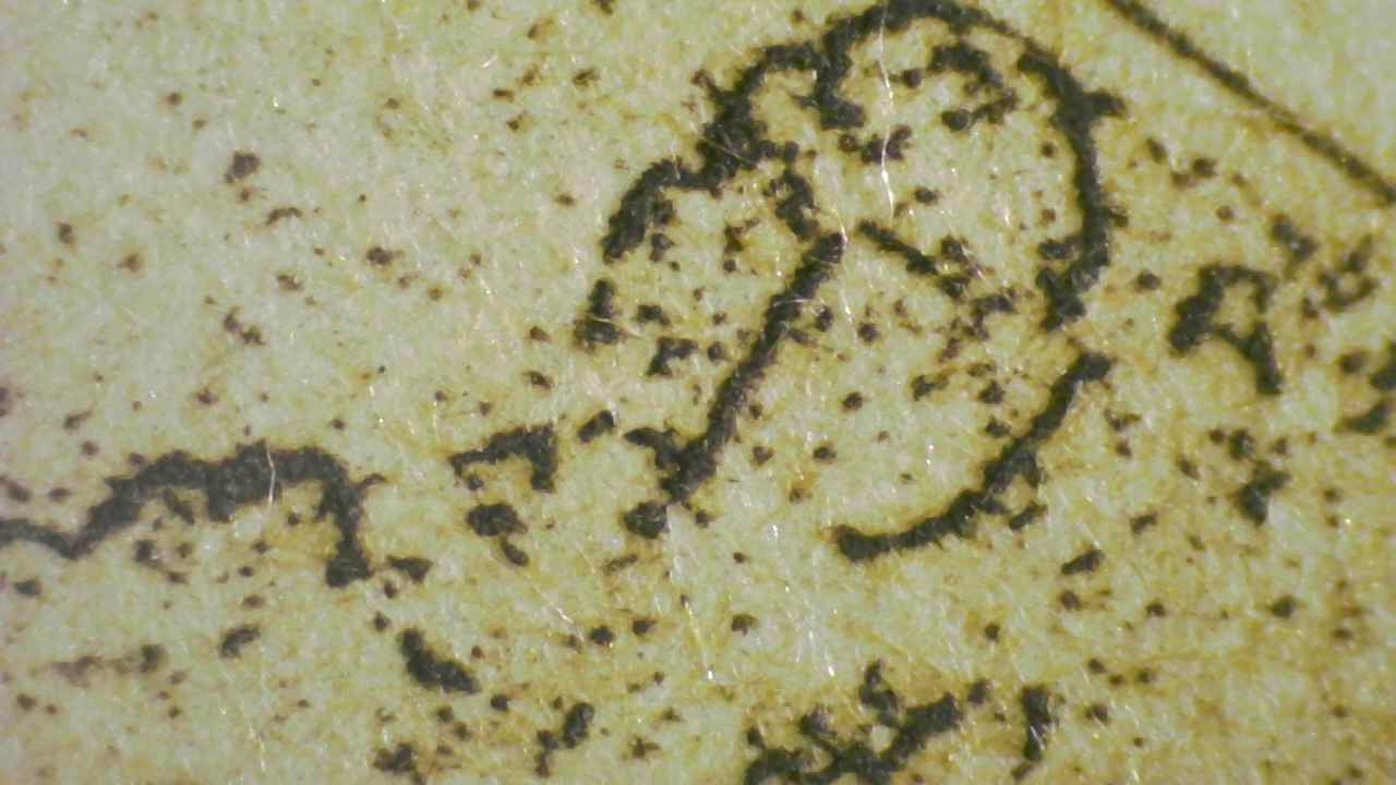 Fig.12 Micro Details