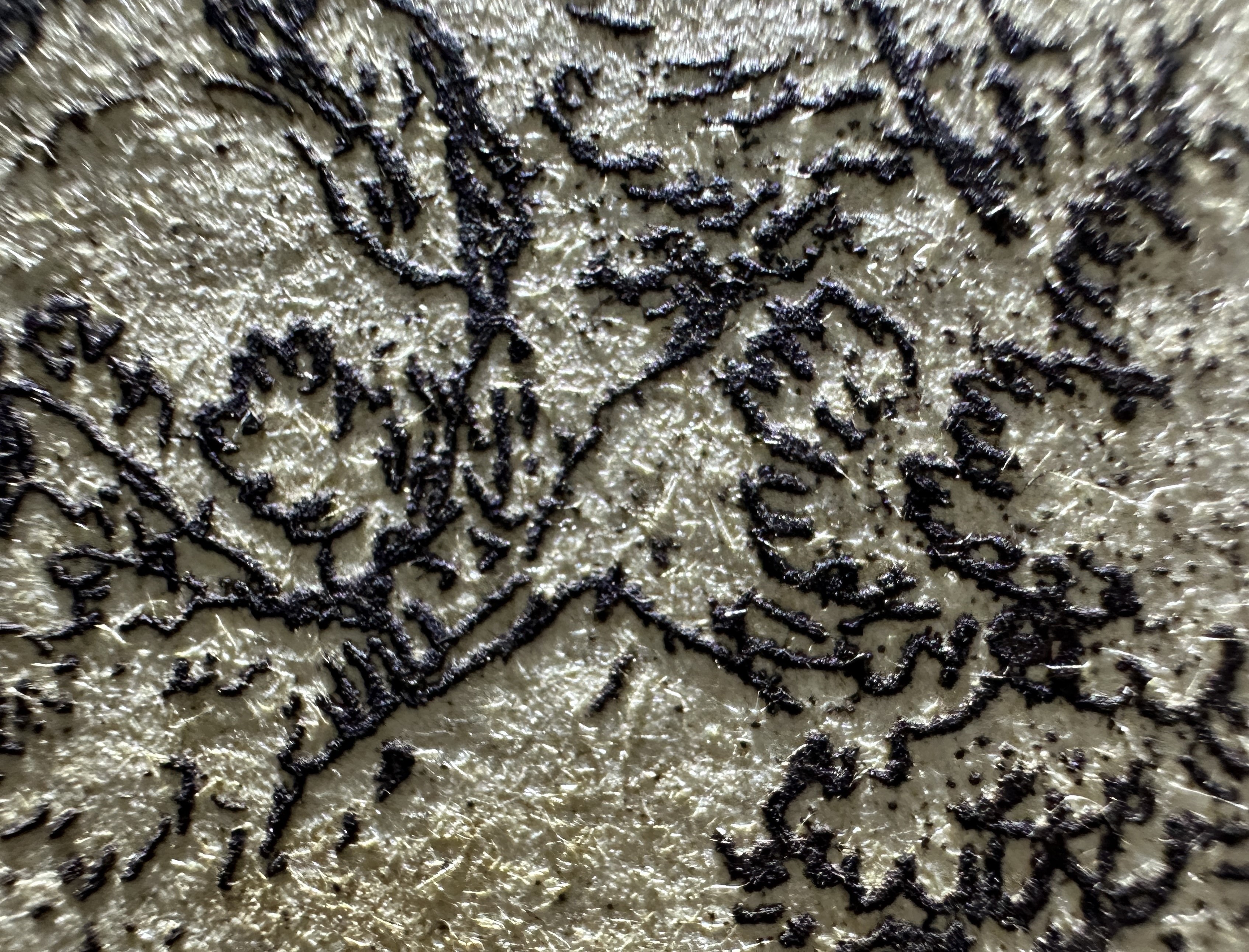 Fig.11 Macro Details