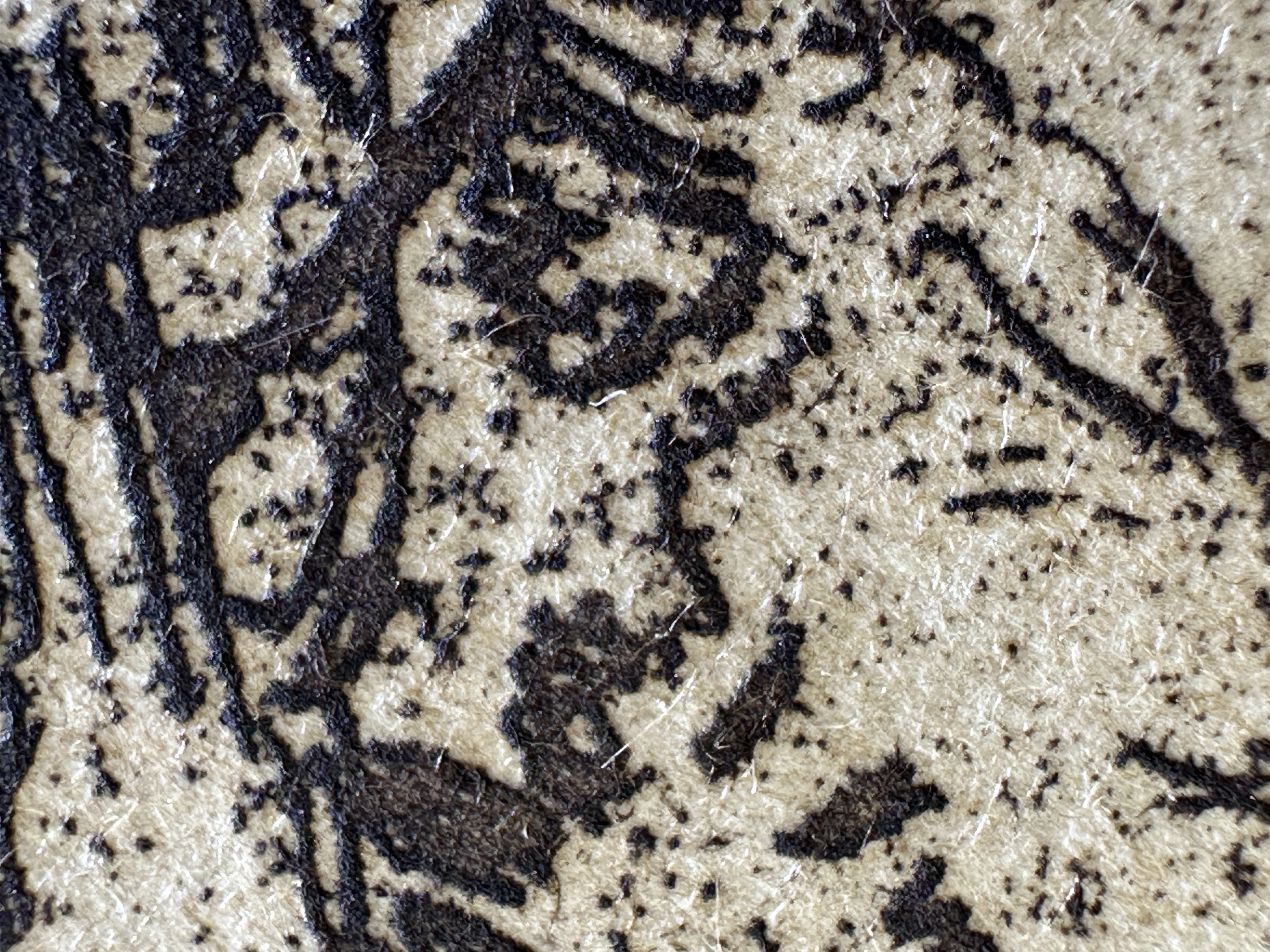 Fig.12 Macro Details