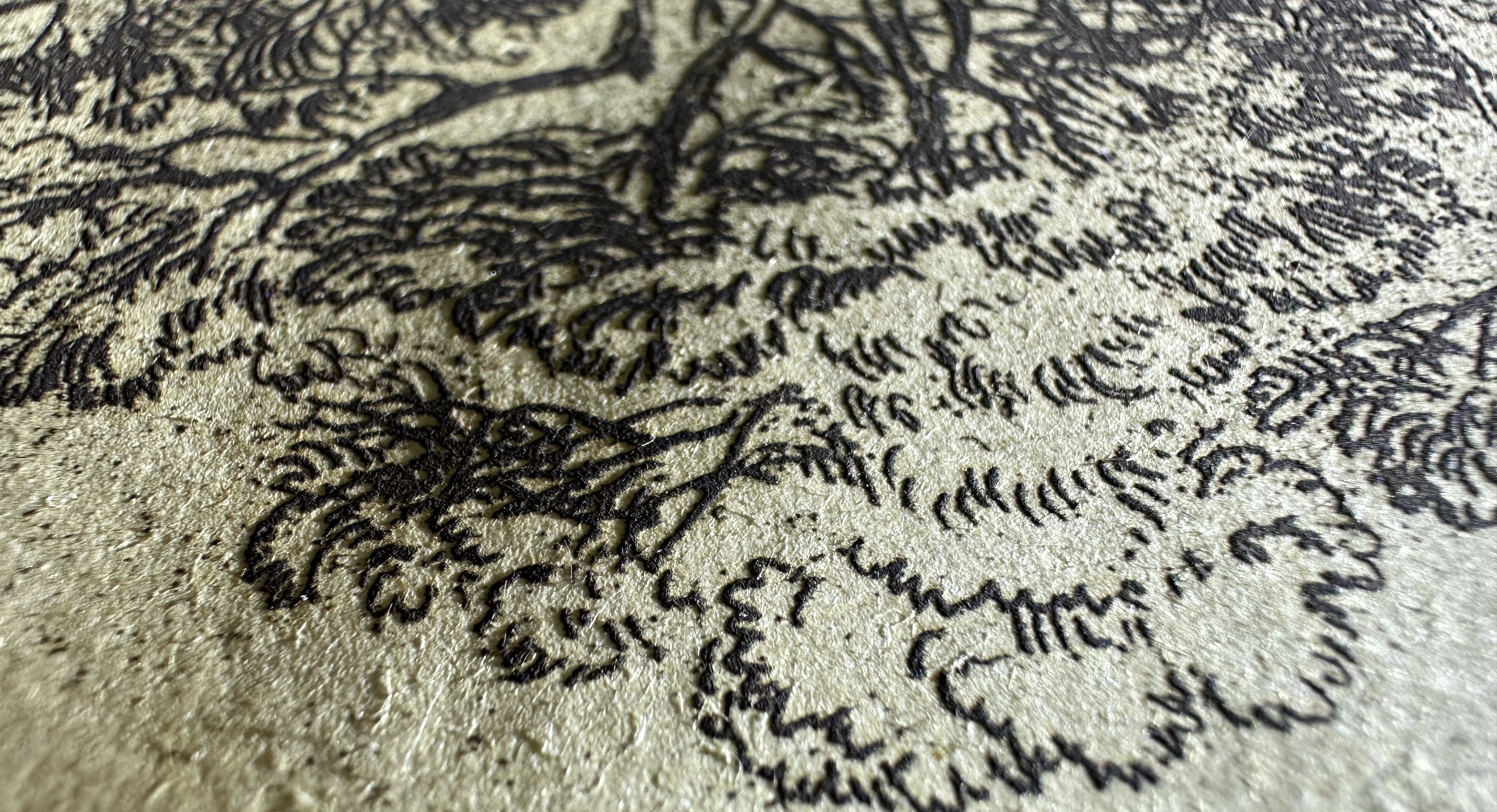 Fig.19 Macro Details