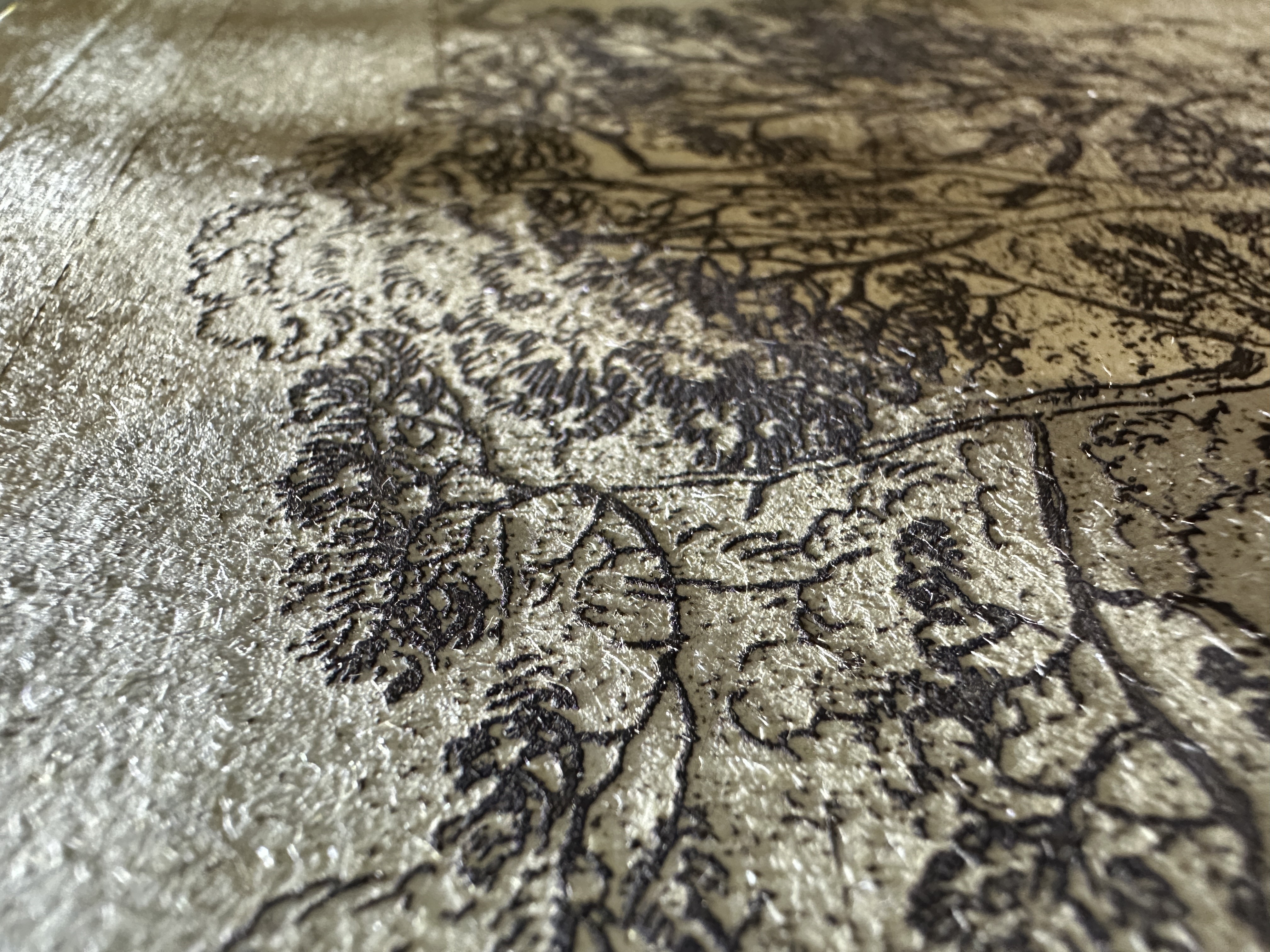 Fig.20 Macro Details