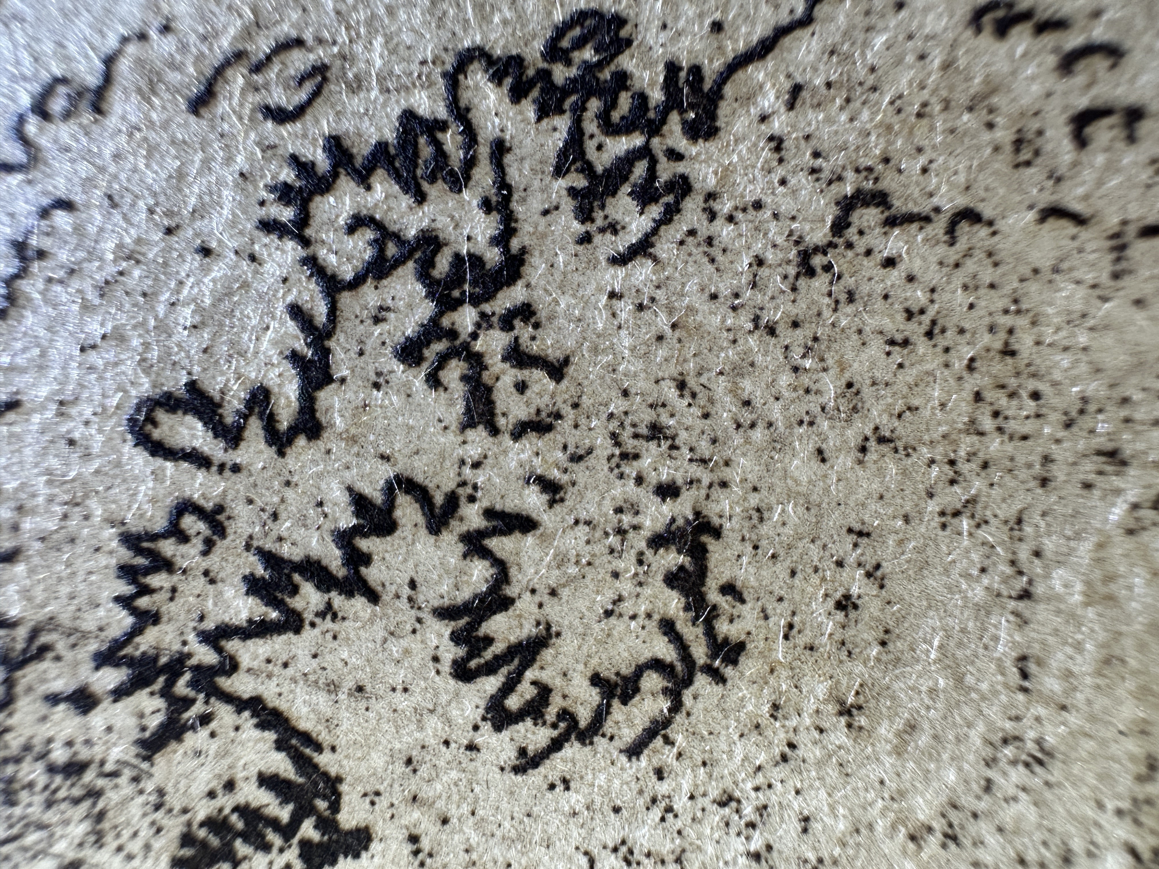 Fig.28 Macro Details