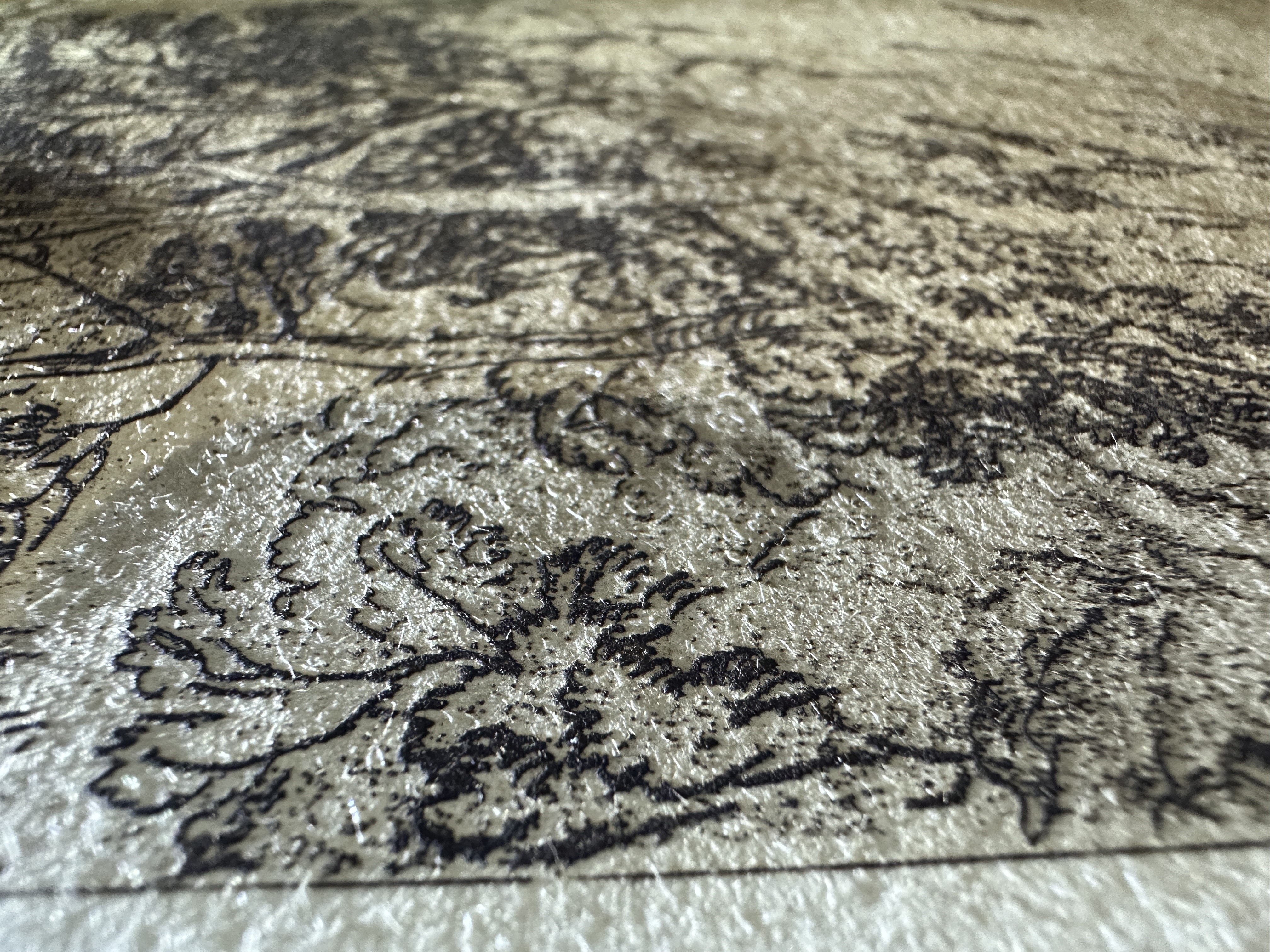 Fig.22 Macro Details