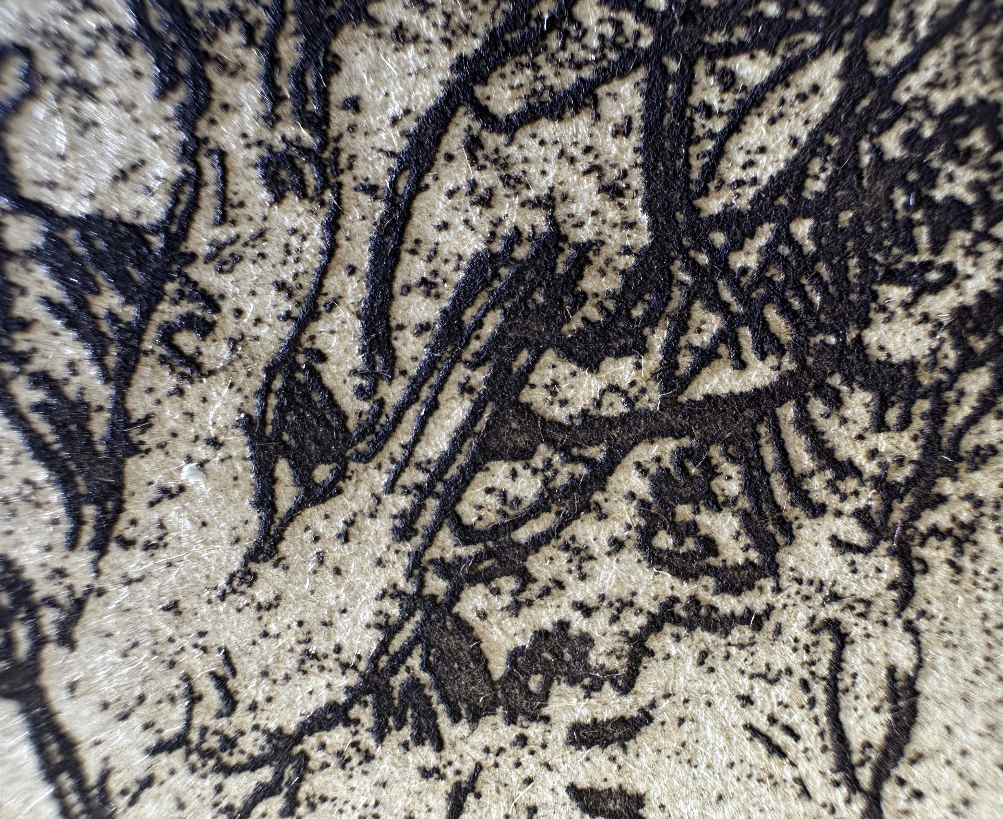 Fig.25 Macro Details