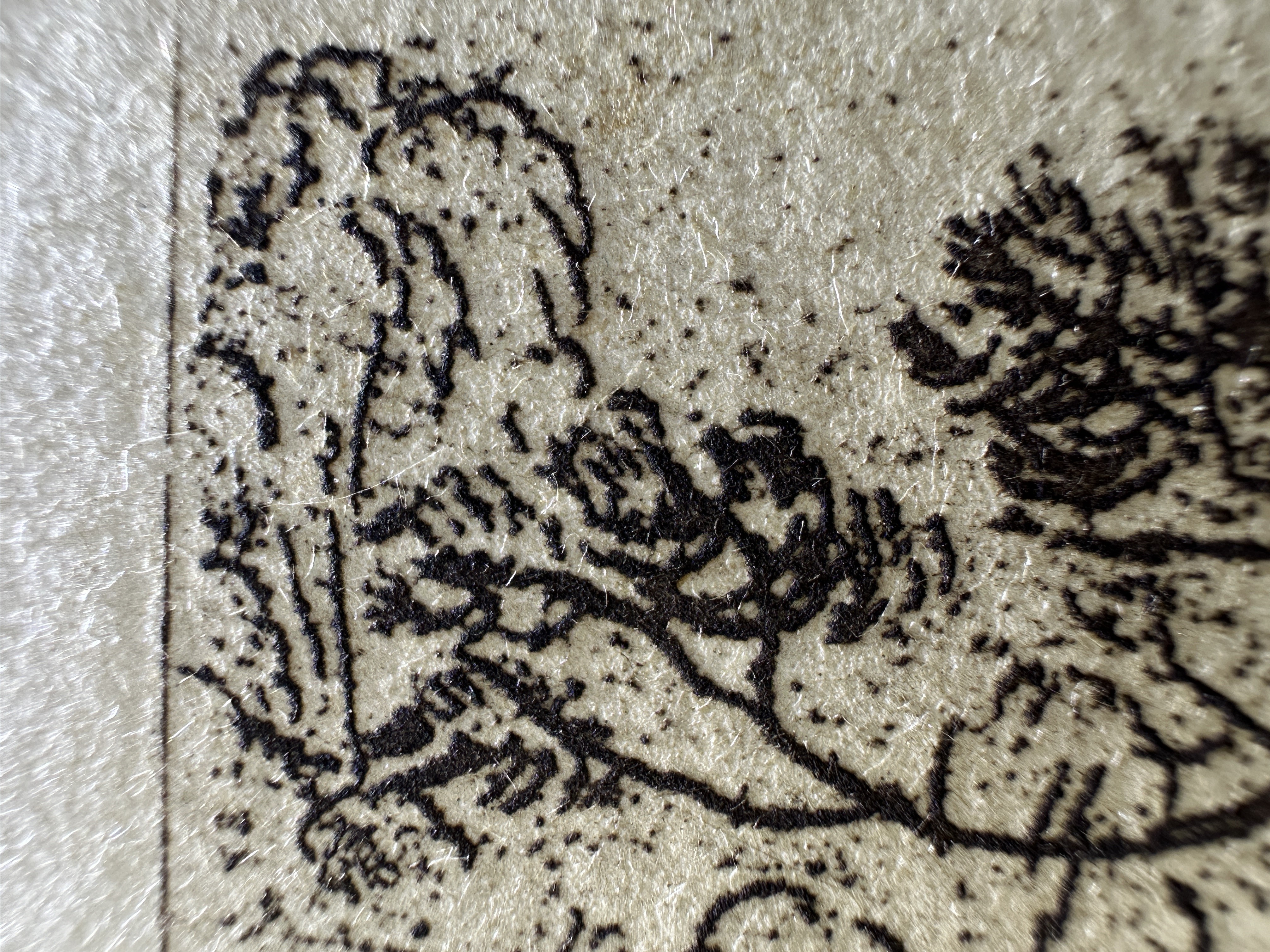 Fig.26 Macro Details