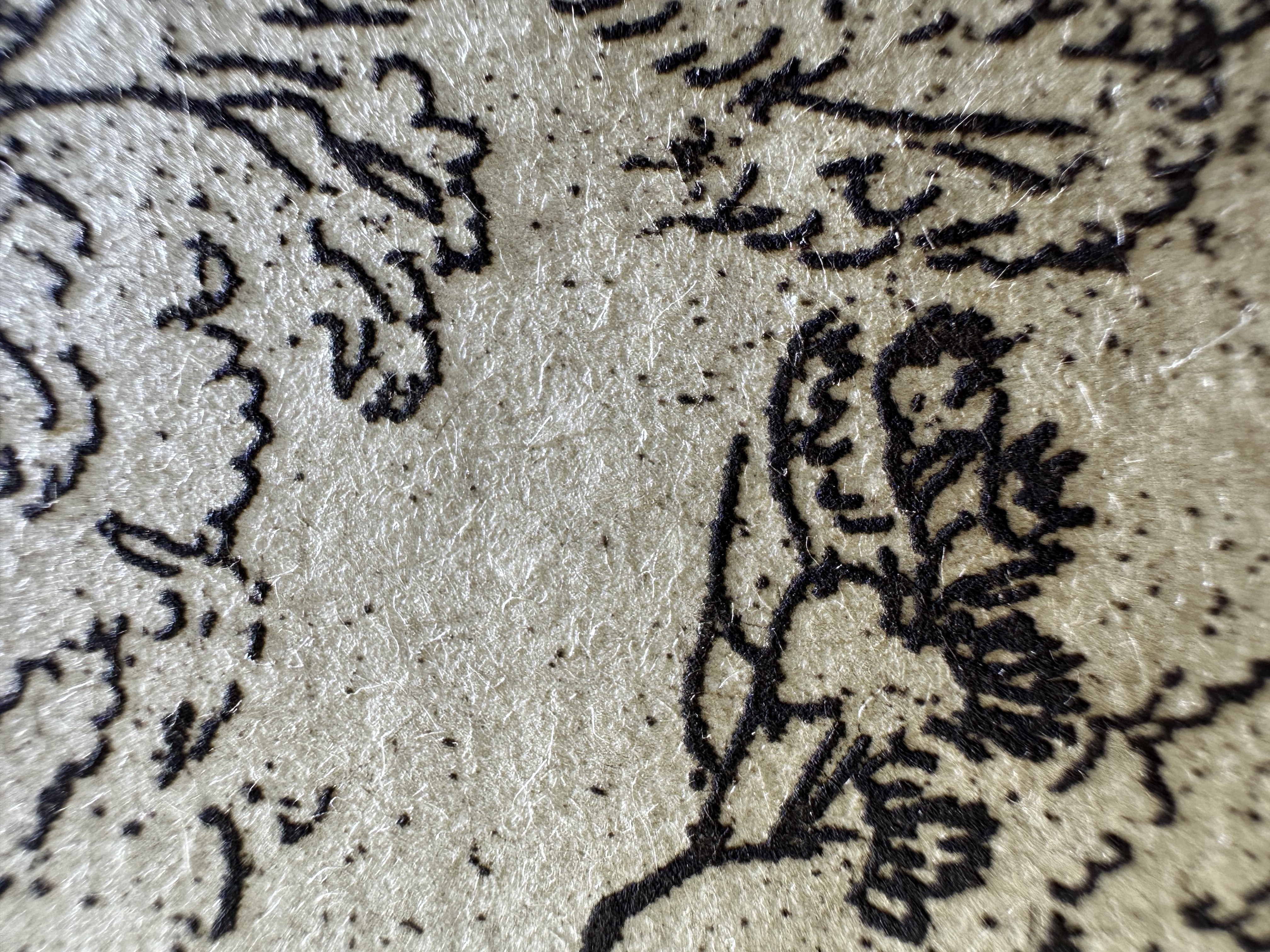 Fig.27 Macro Details