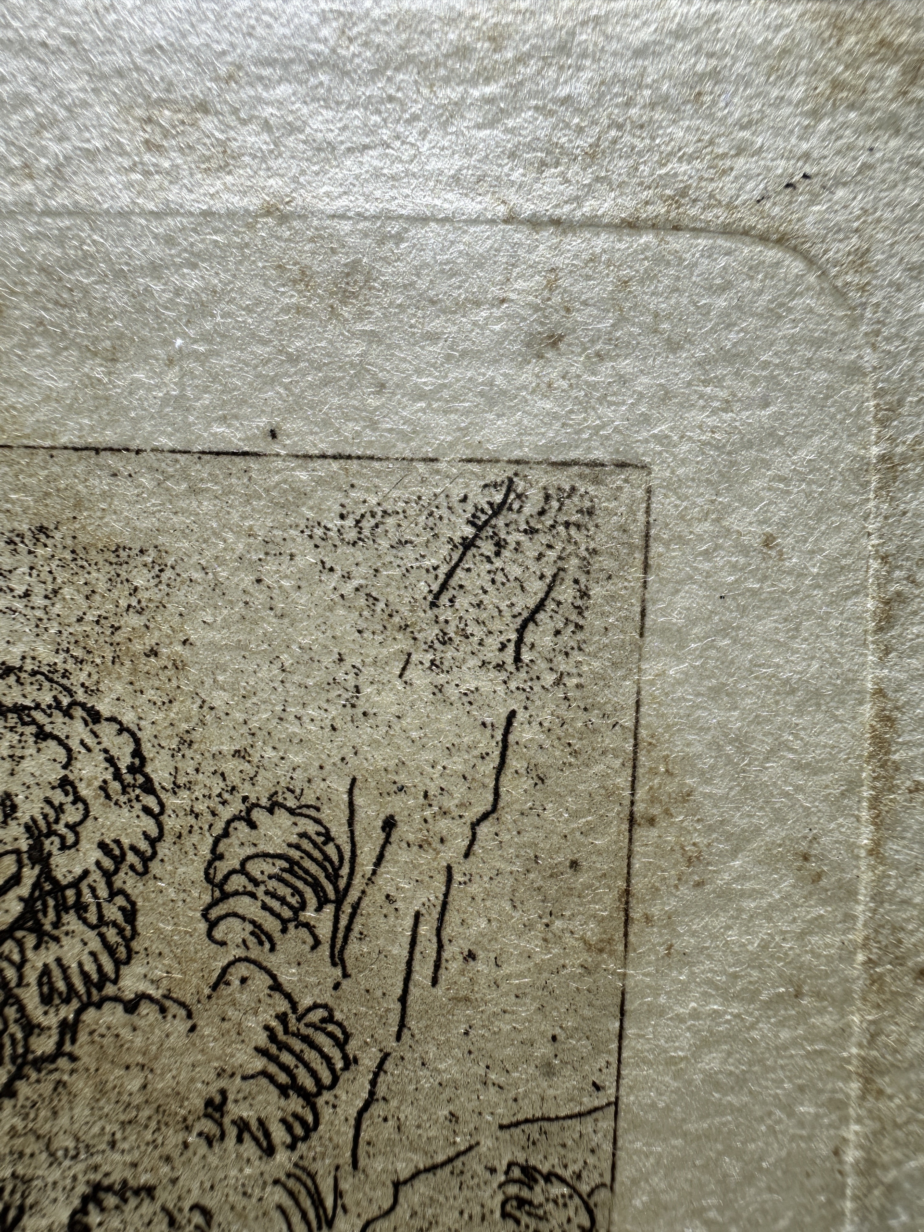 Platemark, upper right