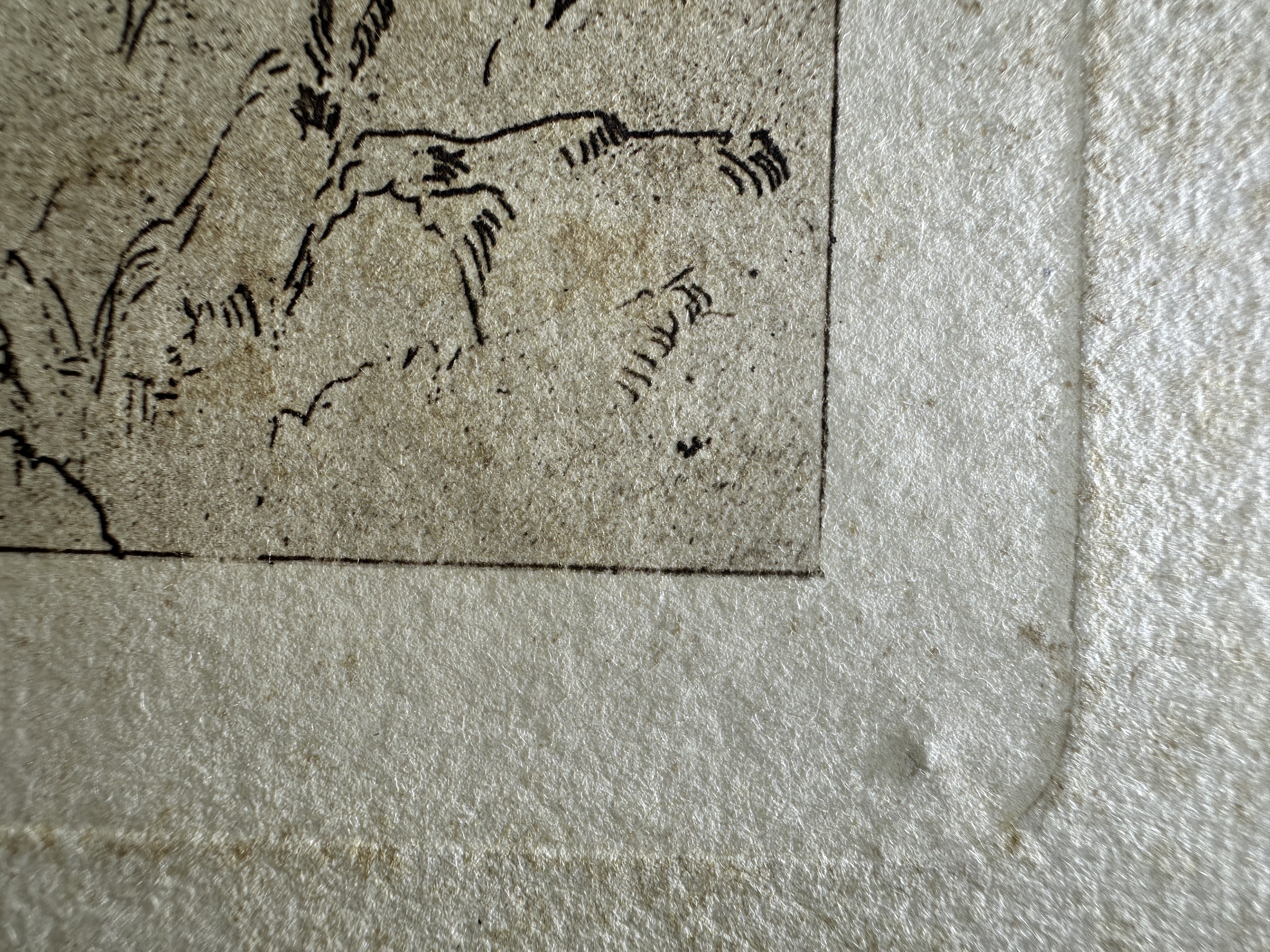 Platemark, lower right