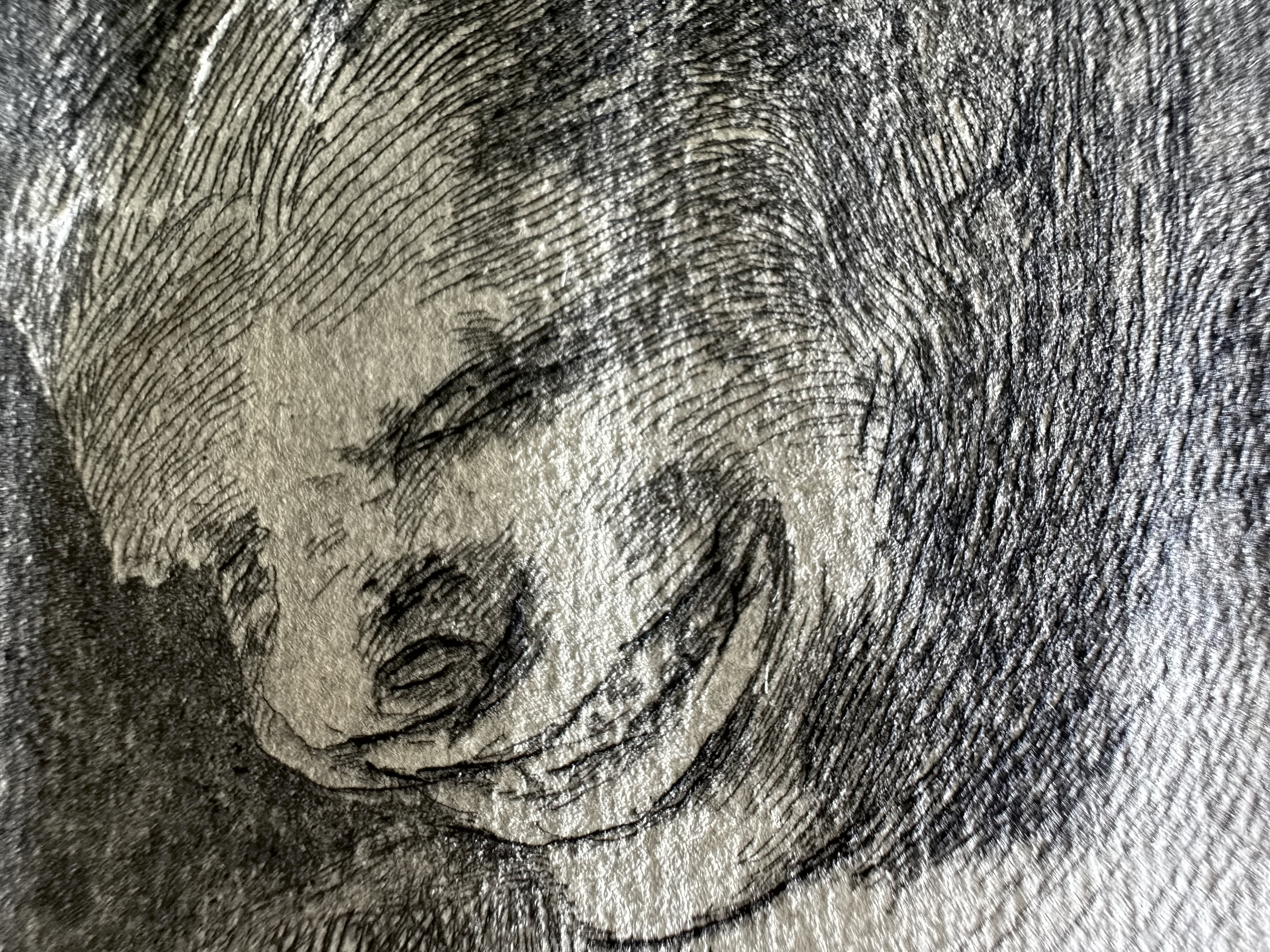 Plate 04 — Macro 2