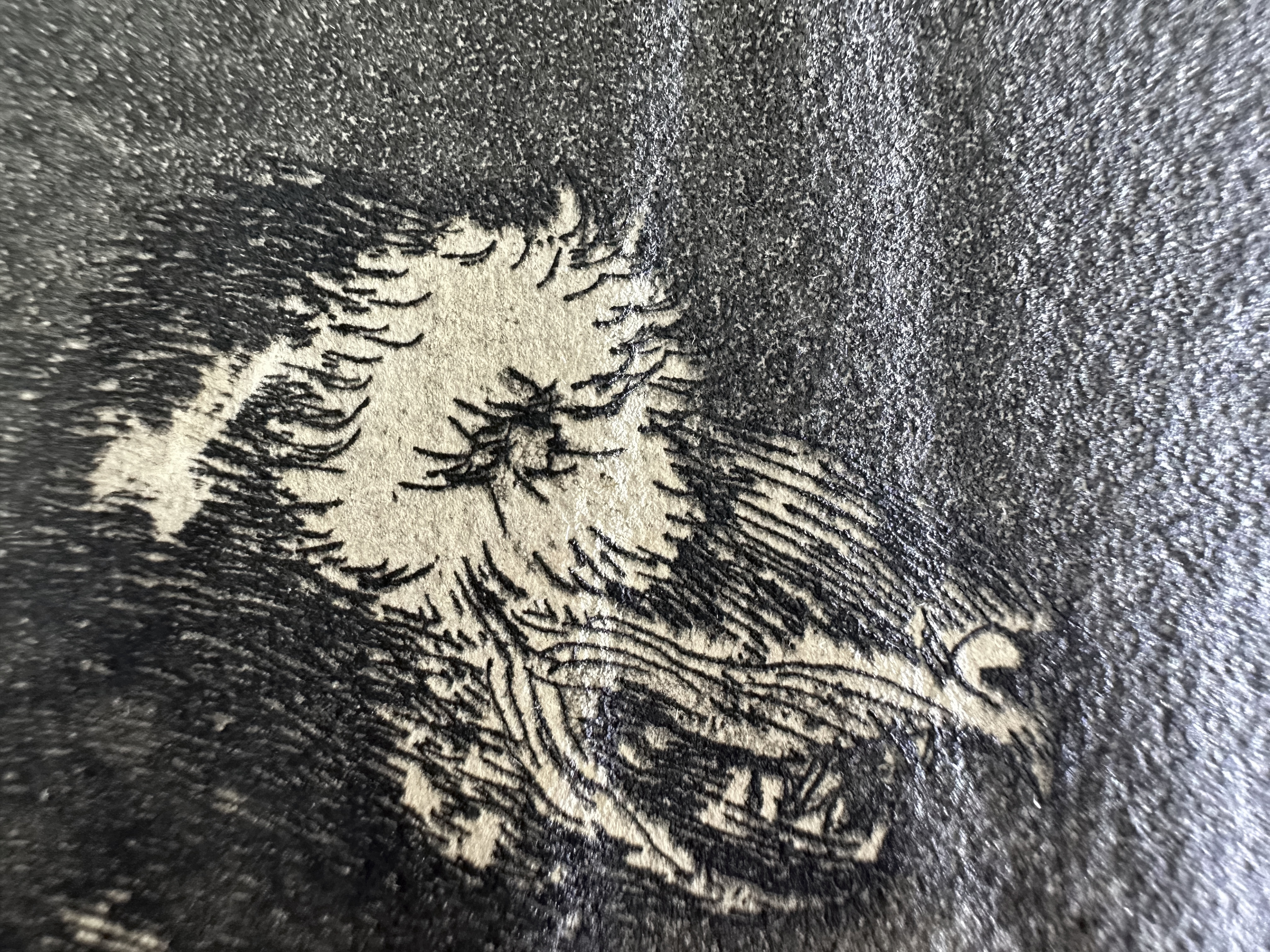 Plate 05 — Macro 2