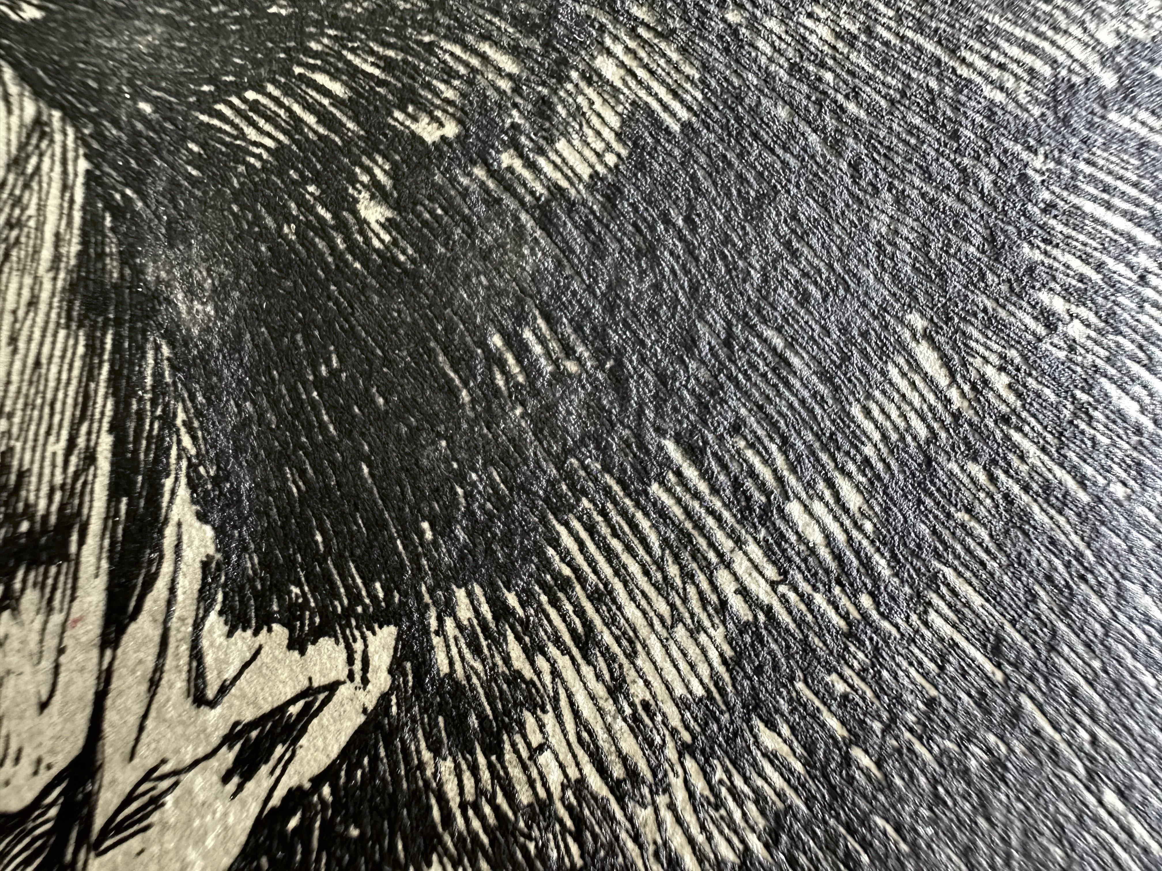 Plate 05 — Macro 1