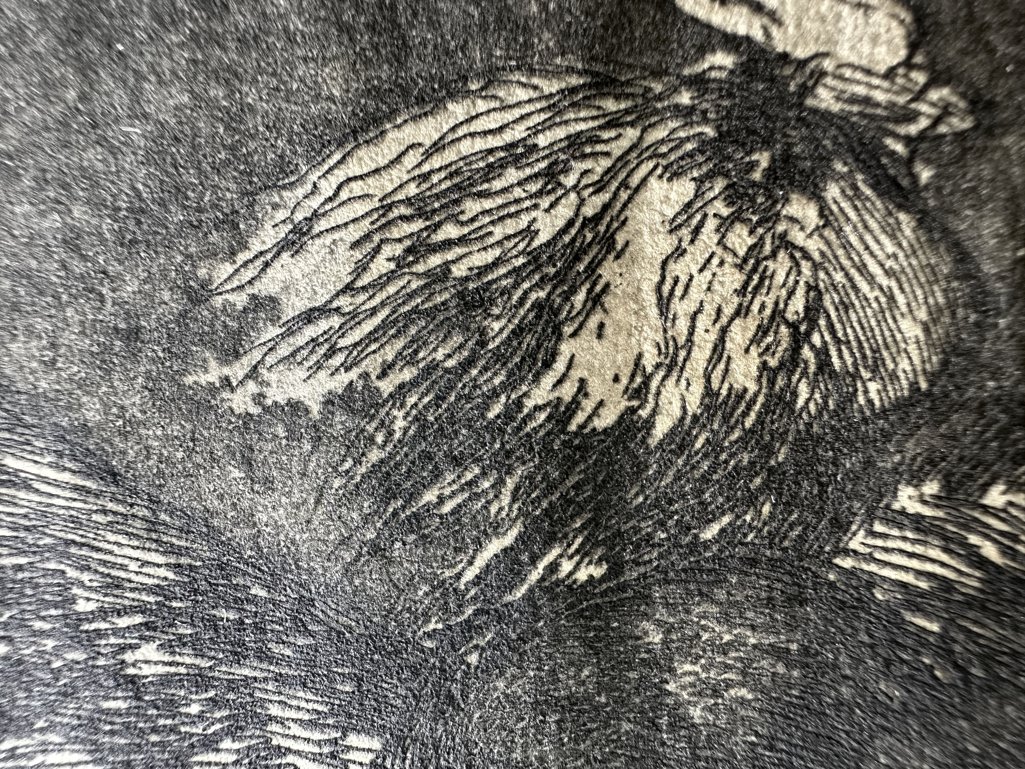 Plate 05 — Macro 3