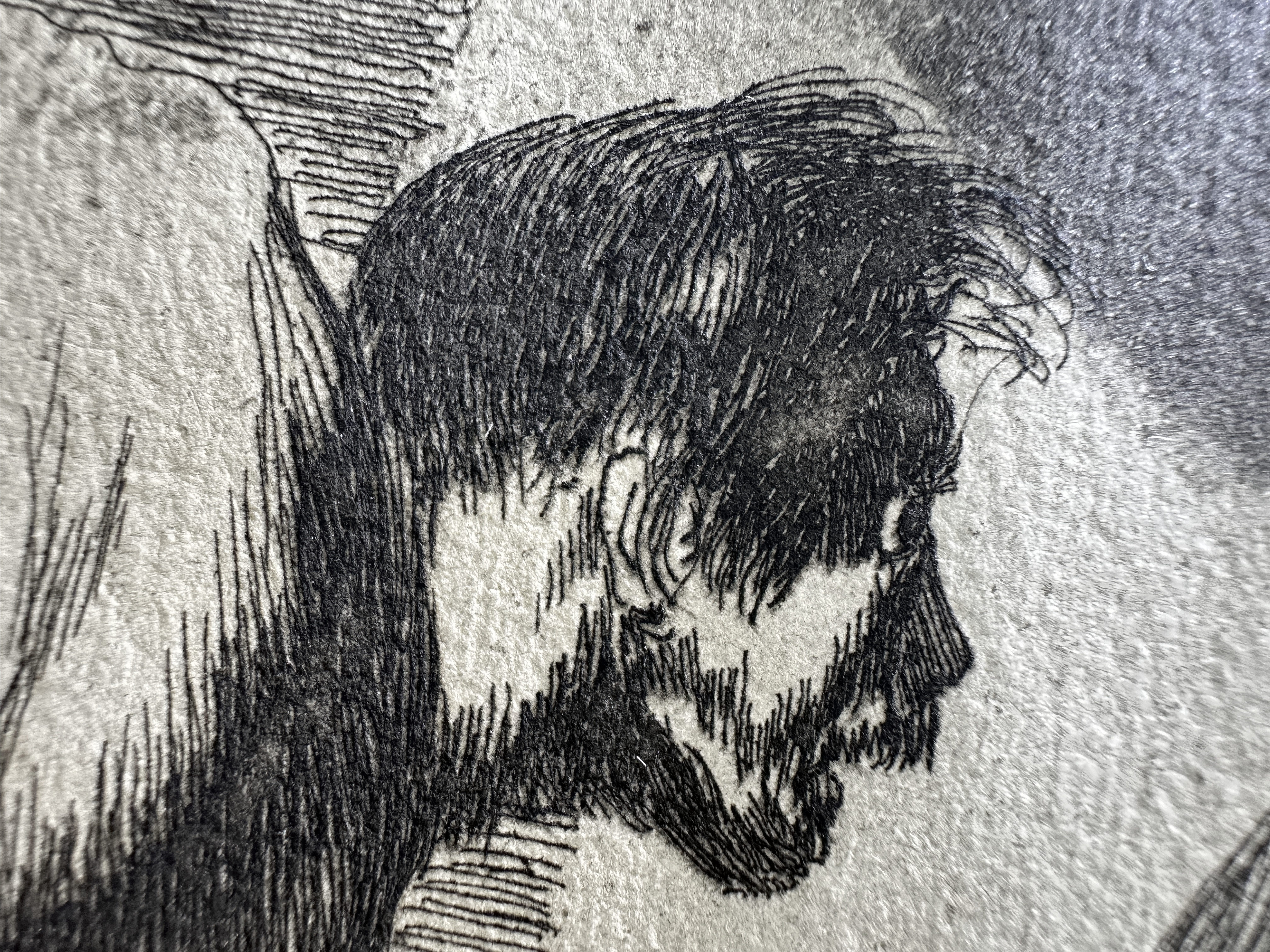 Plate 06 — Macro 3