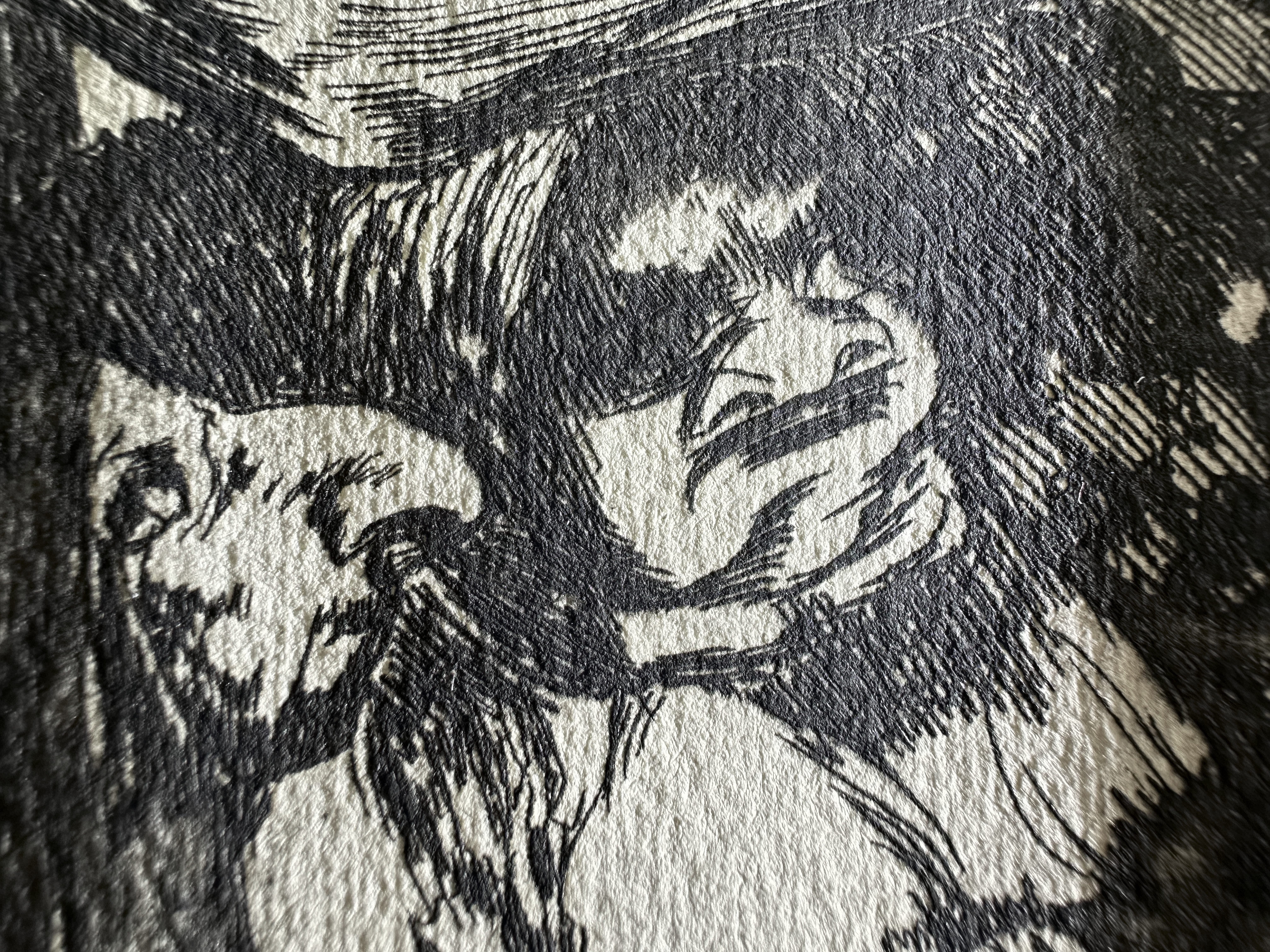 Plate 07 — Macro 1