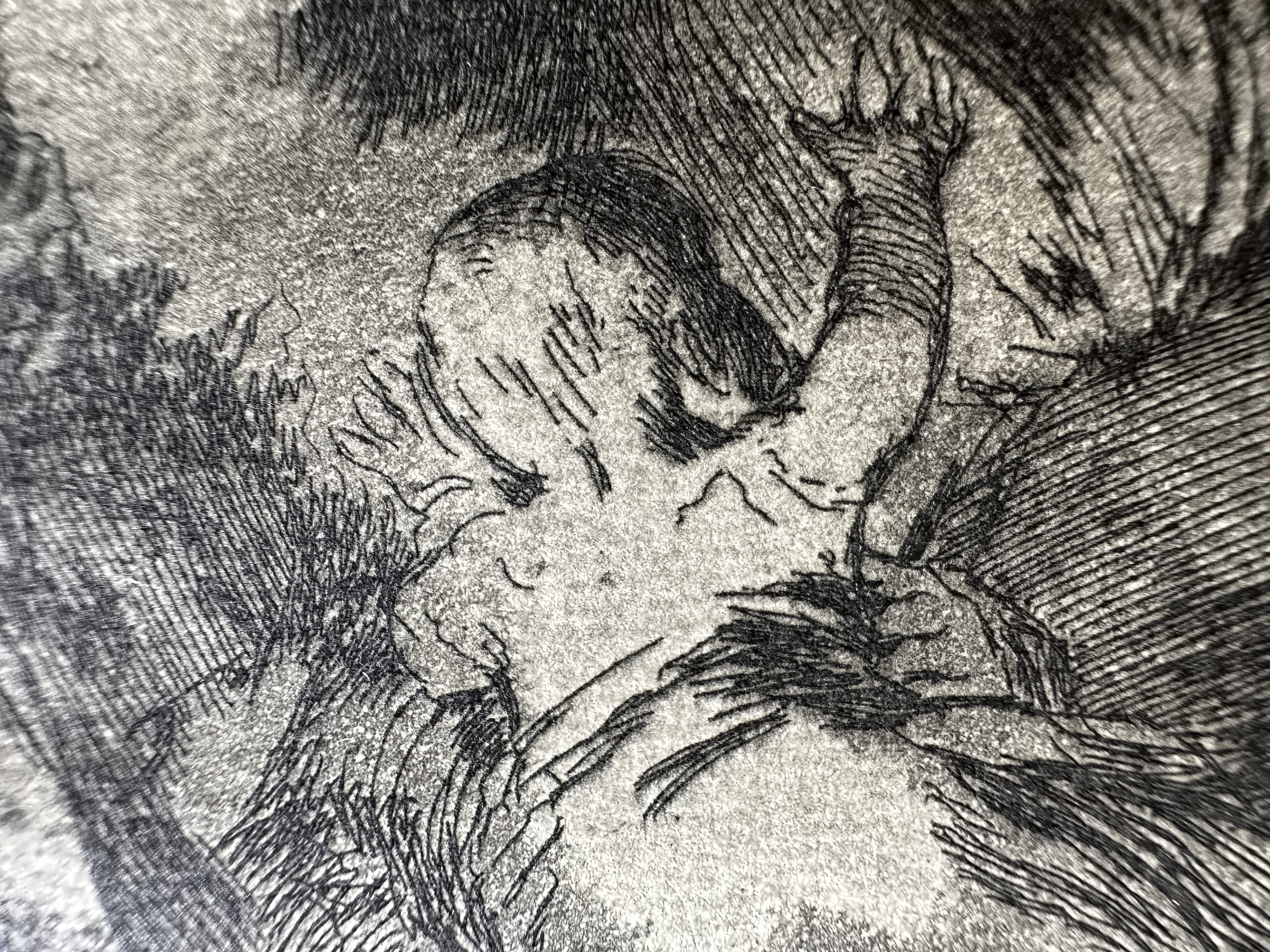 Plate 09 — Macro 3