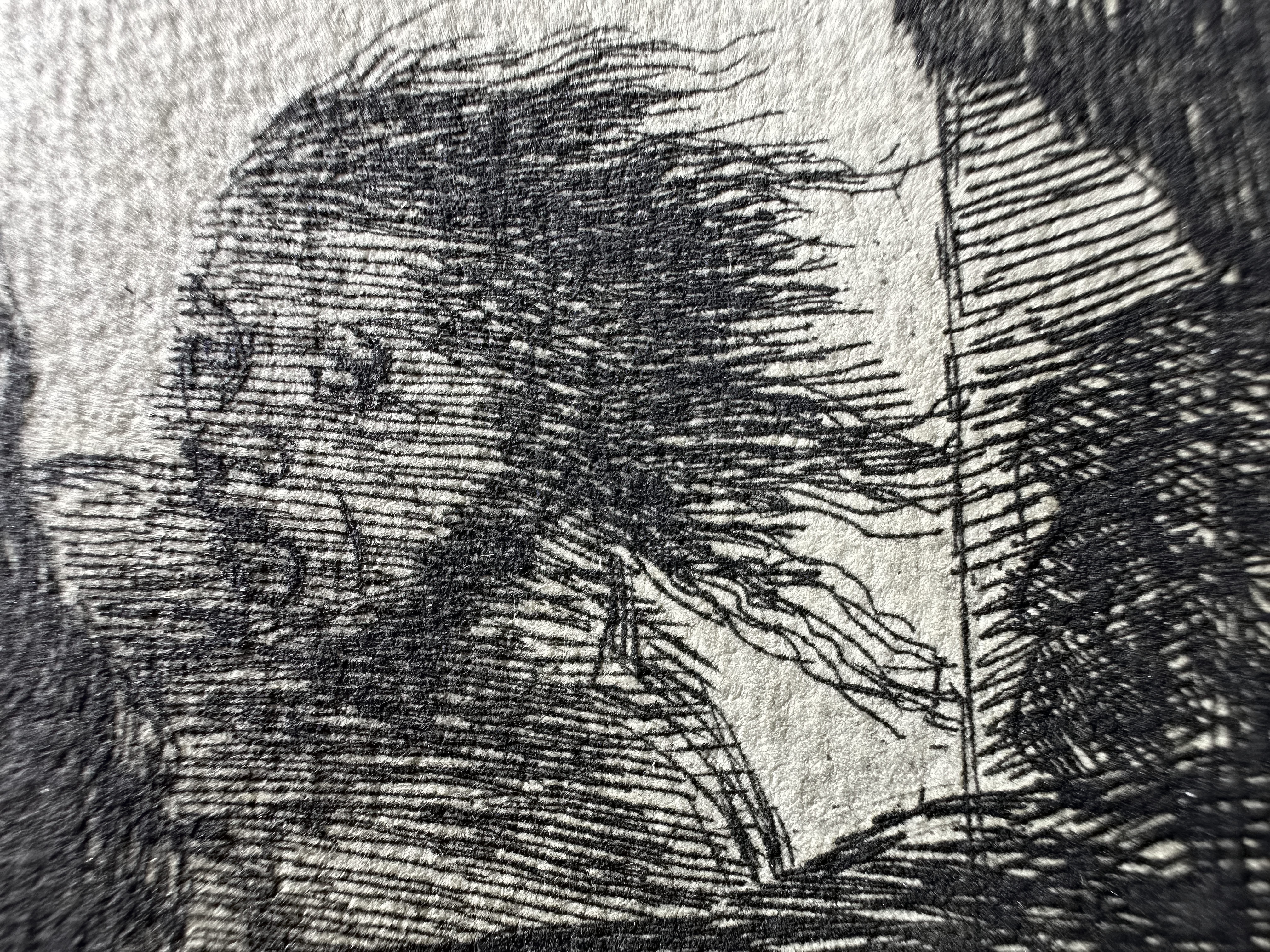 Plate 11 — Macro 3