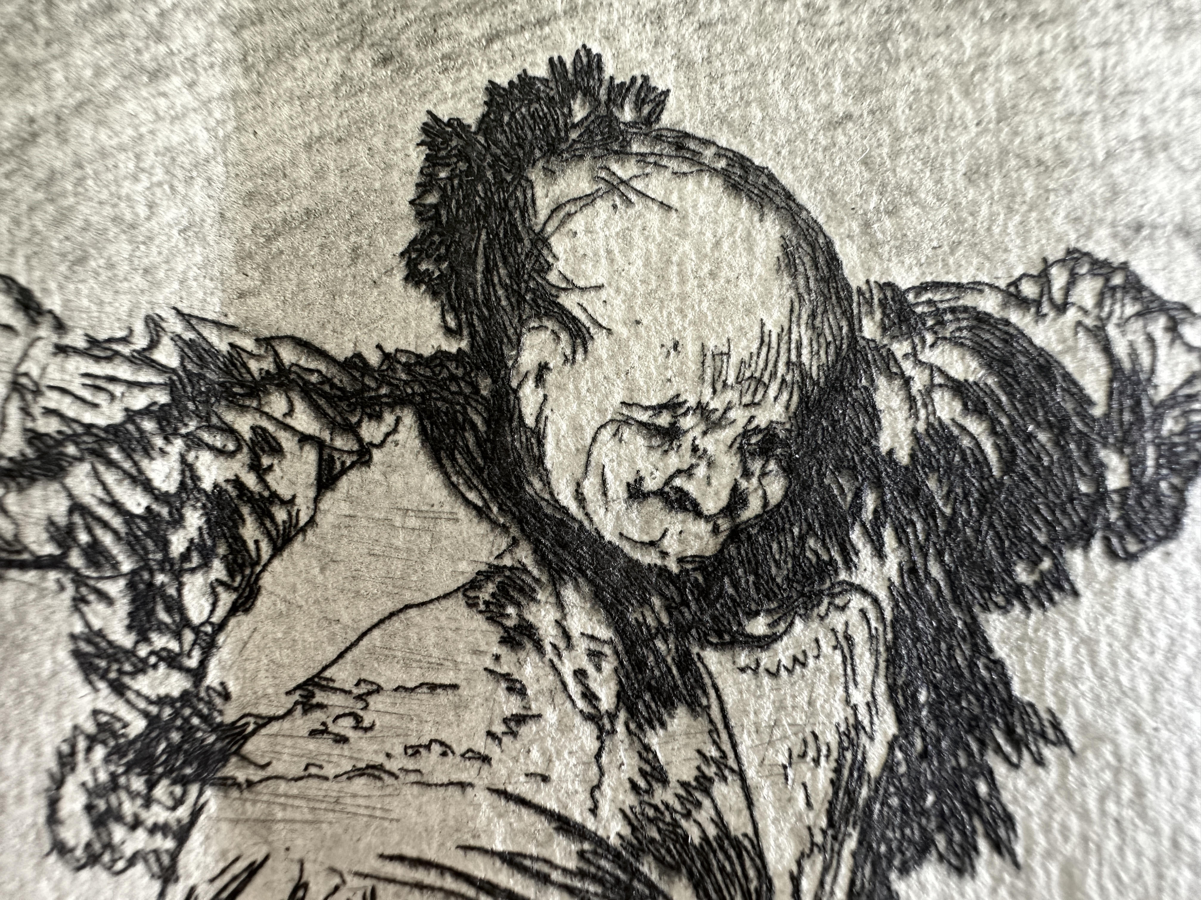 Plate 12 — Macro 2