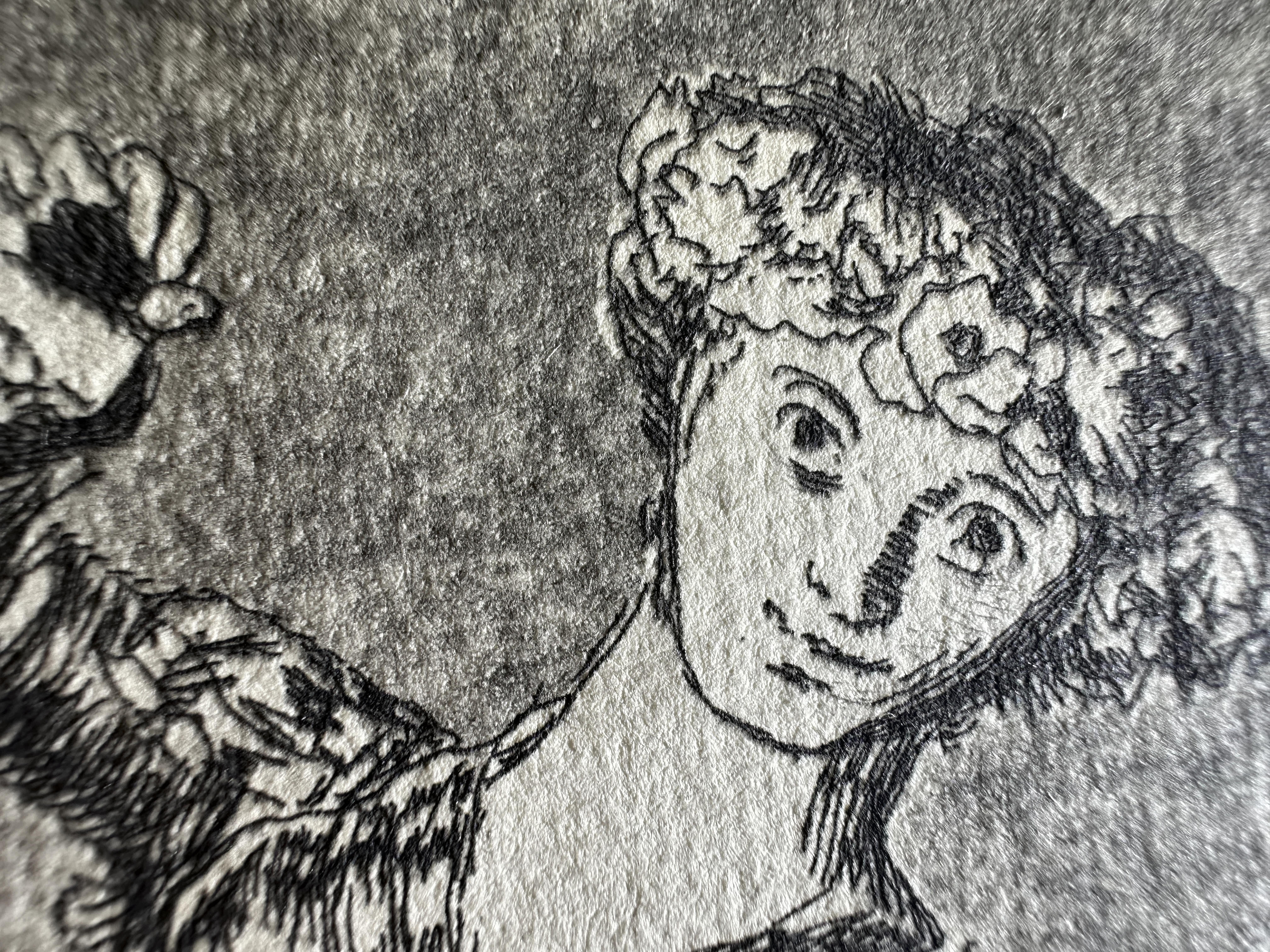 Plate 12 — Macro 1