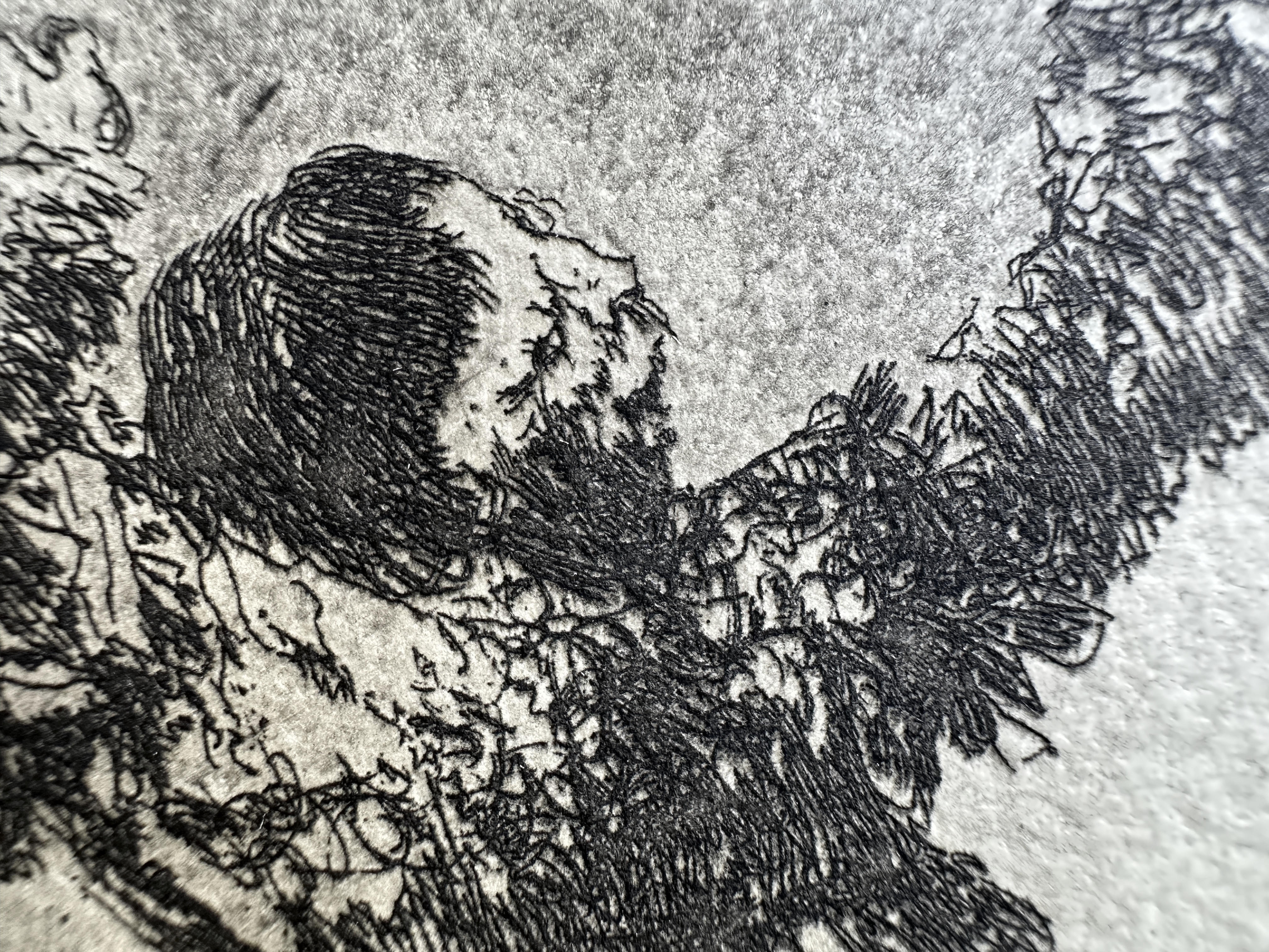 Plate 12 — Macro 3