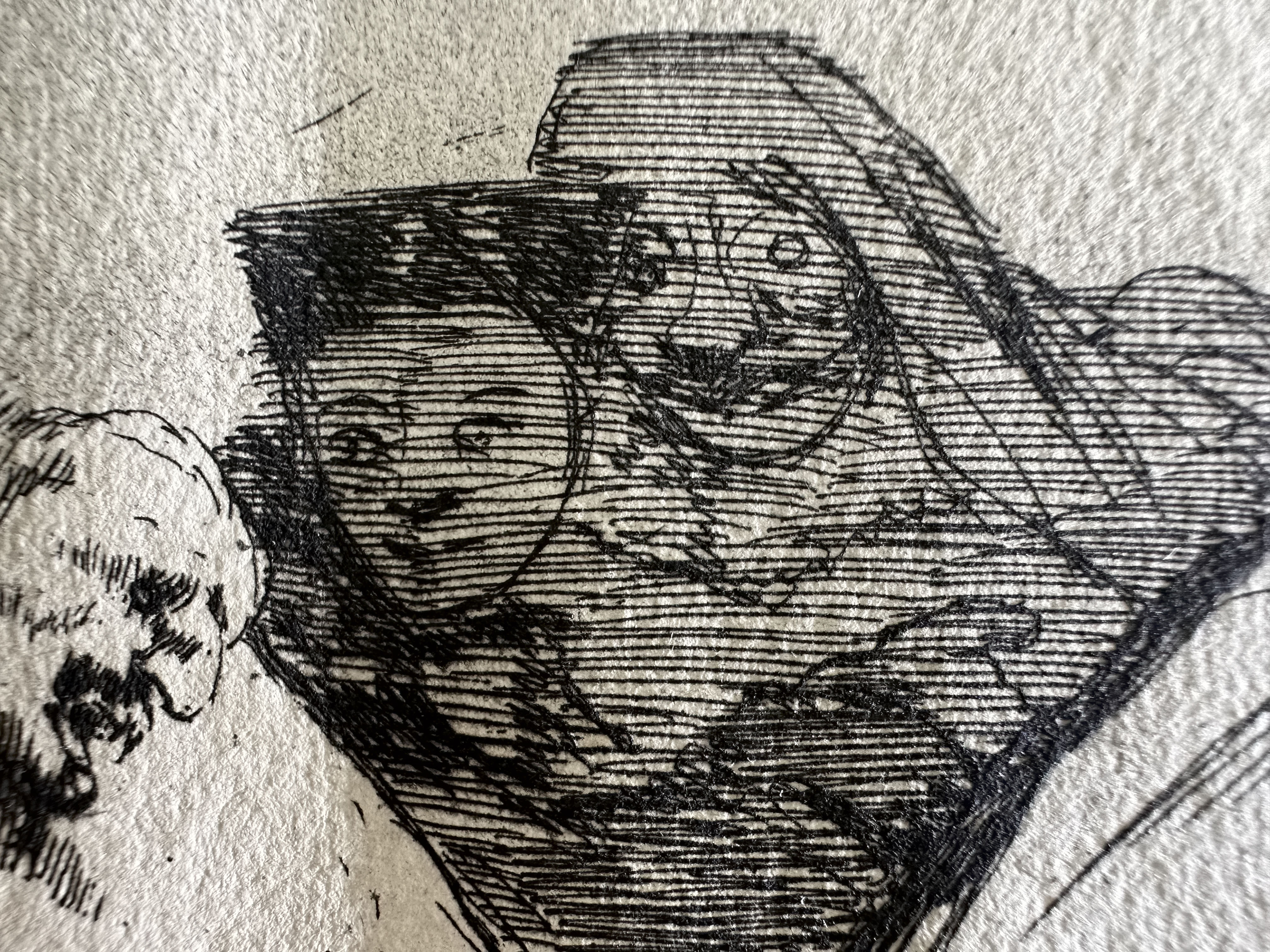 Plate 14 — Macro 2