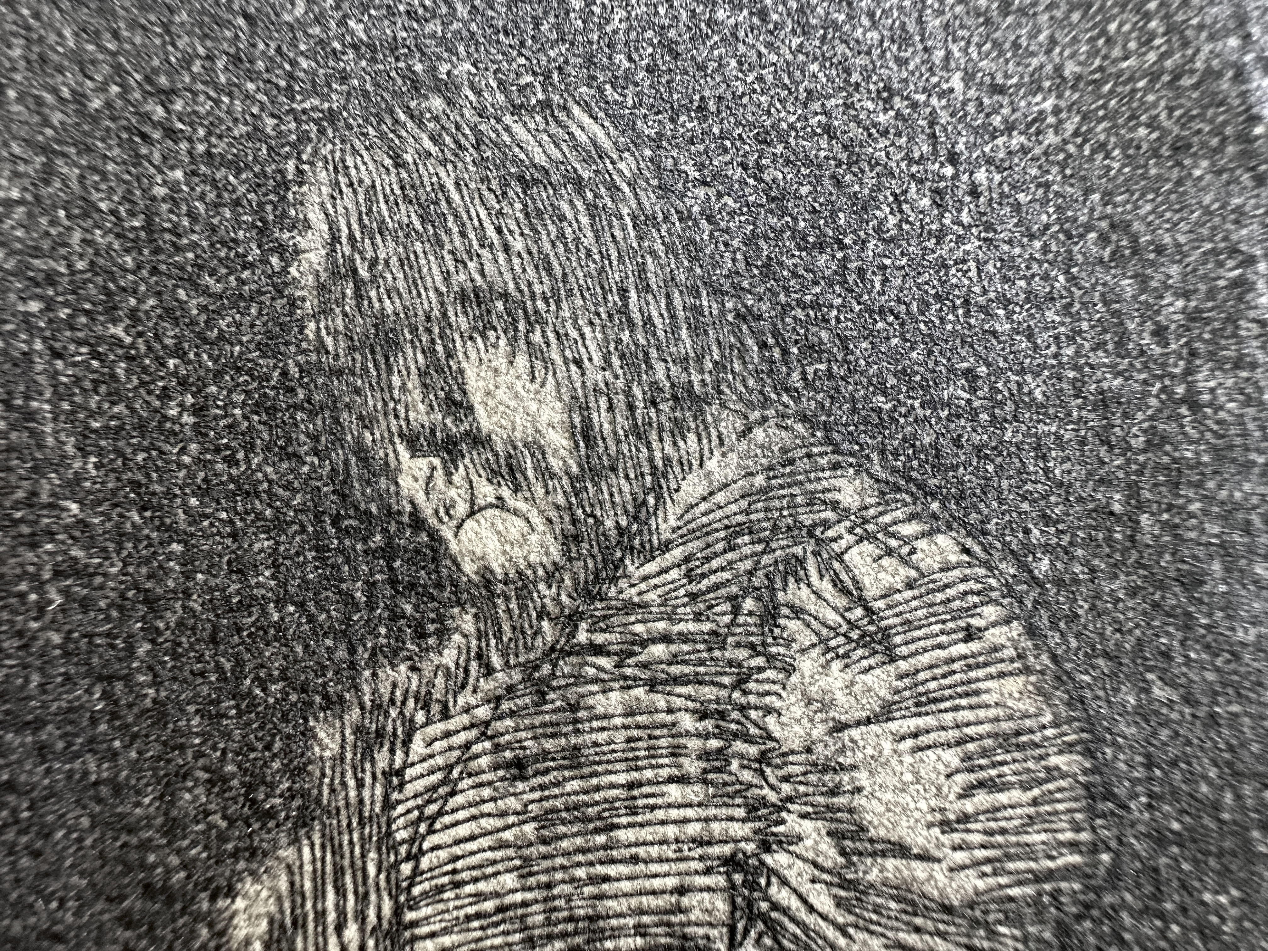 Plate 17 — Macro 3