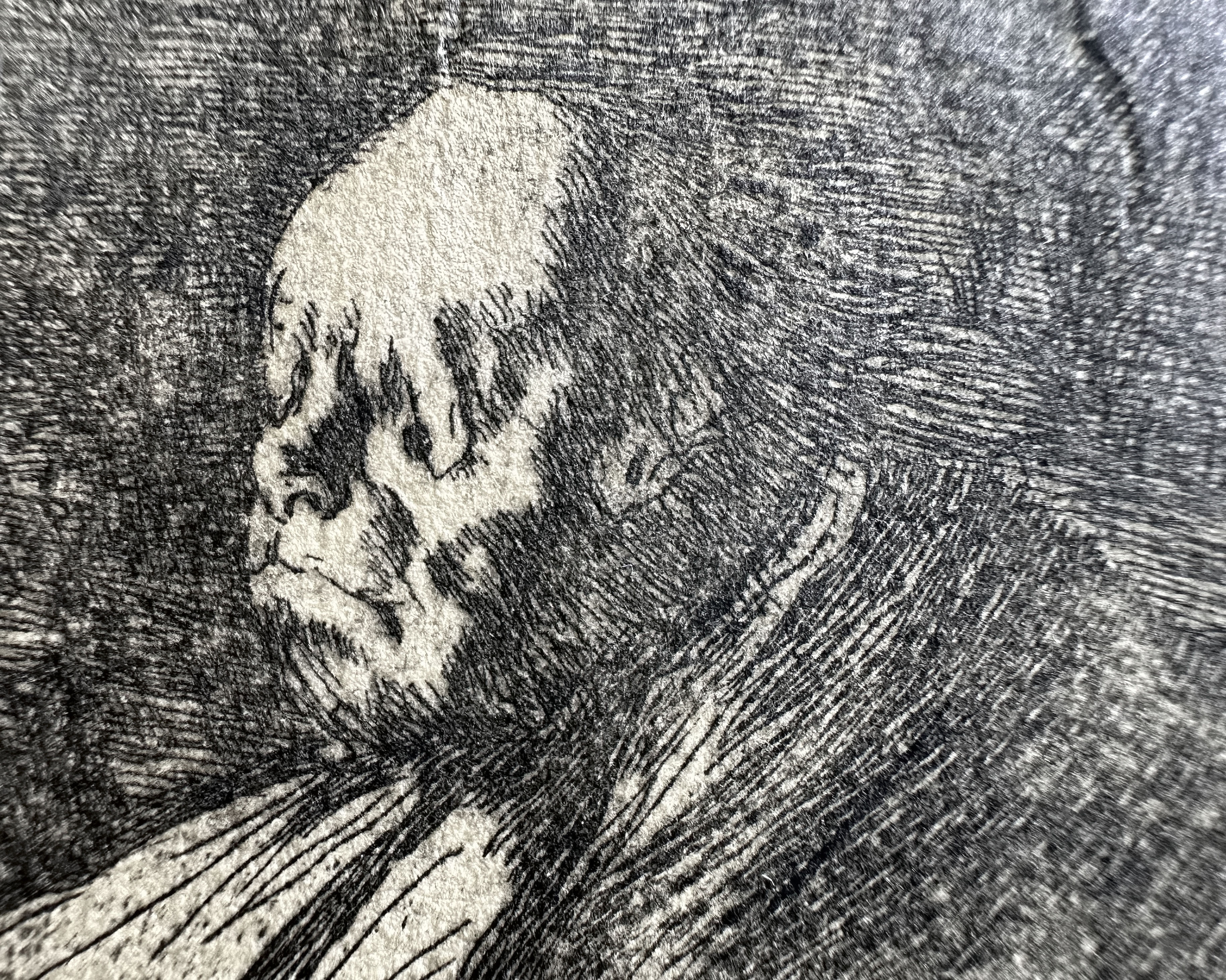 Plate 18 — Macro 3