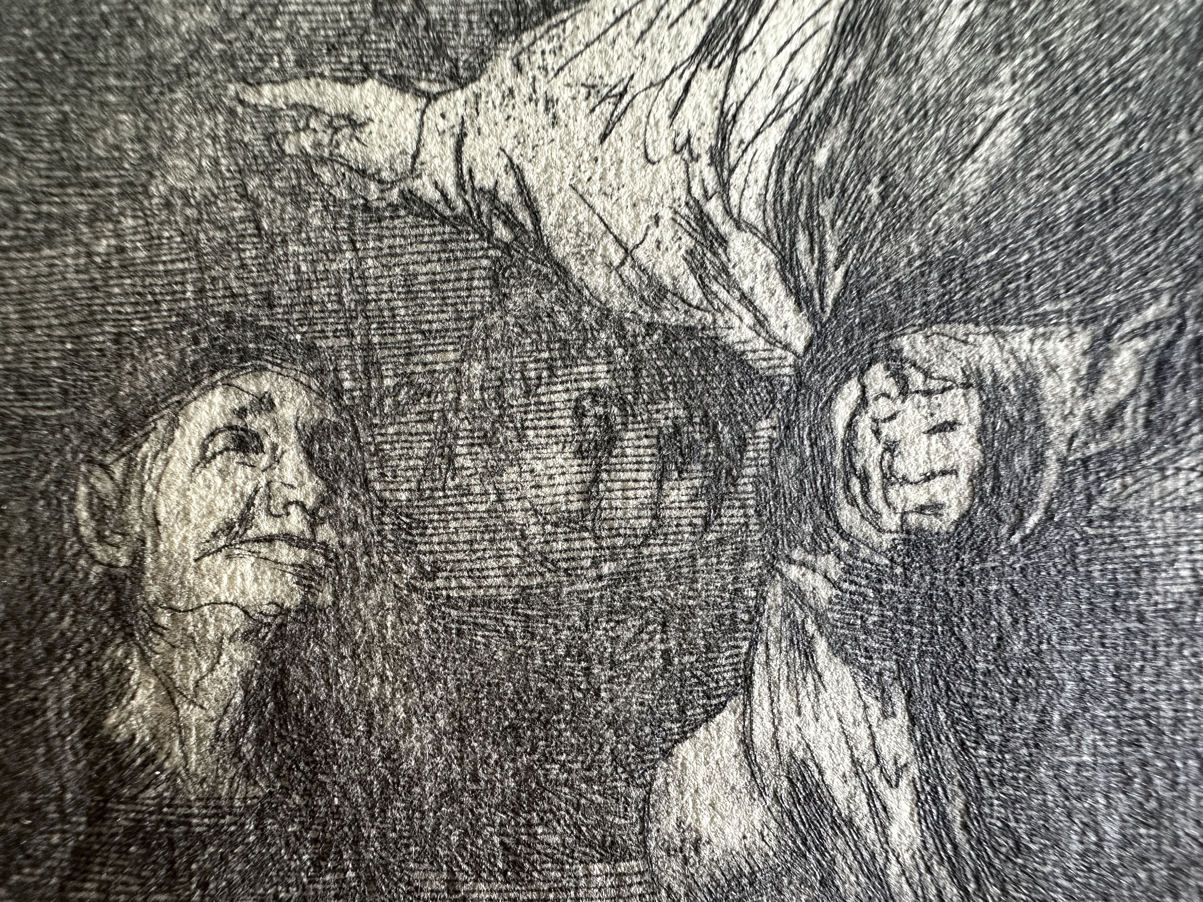 Plate 18 — Macro 1