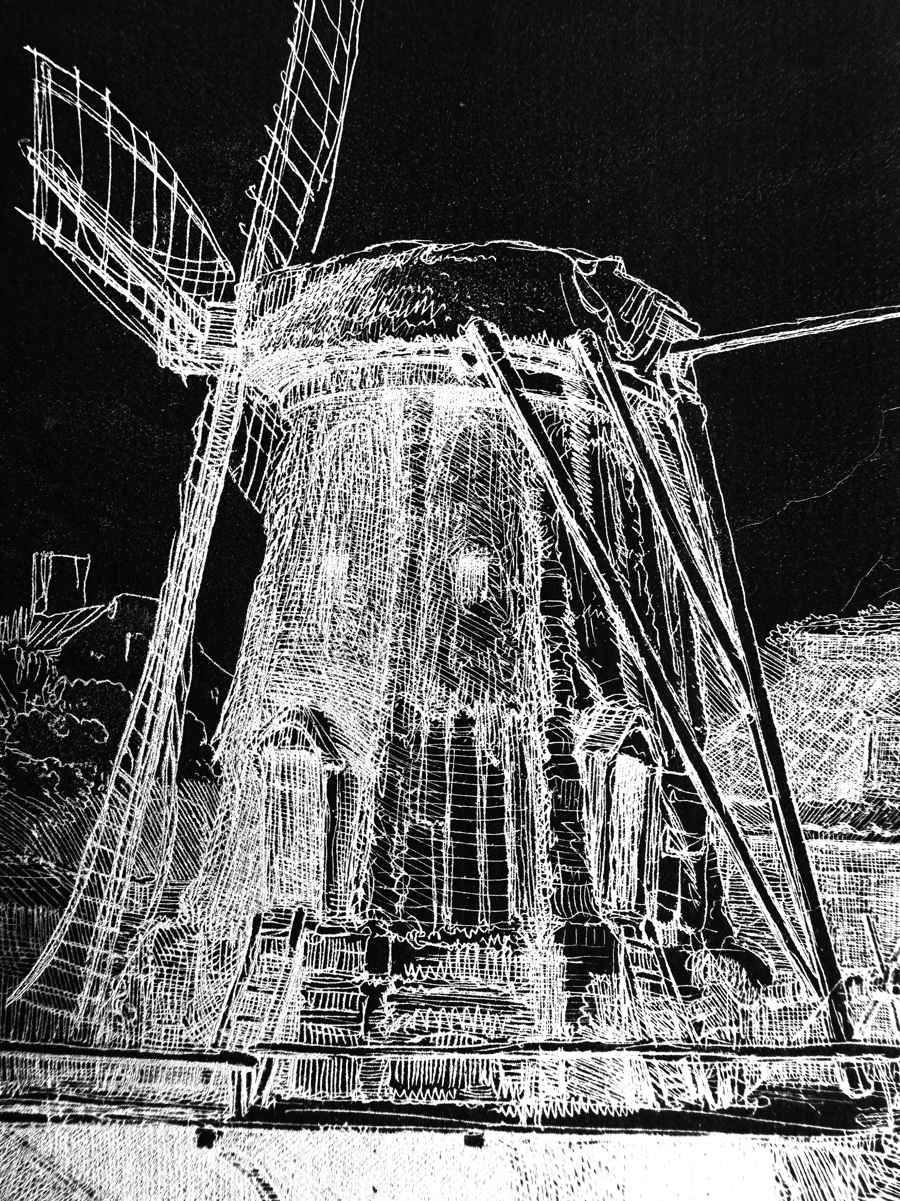 III. Negative tonal inversion revealing the engraved line network