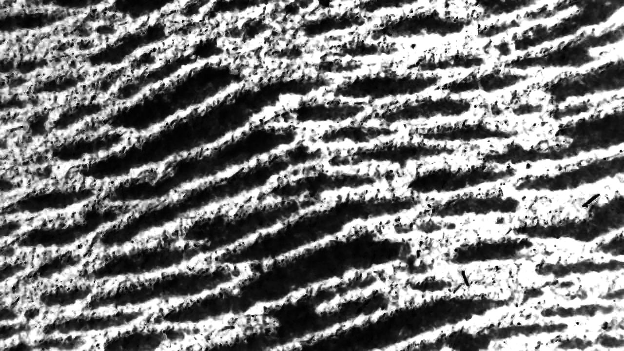 Tonal Inversion of Etched Intaglio Grooves and Burr