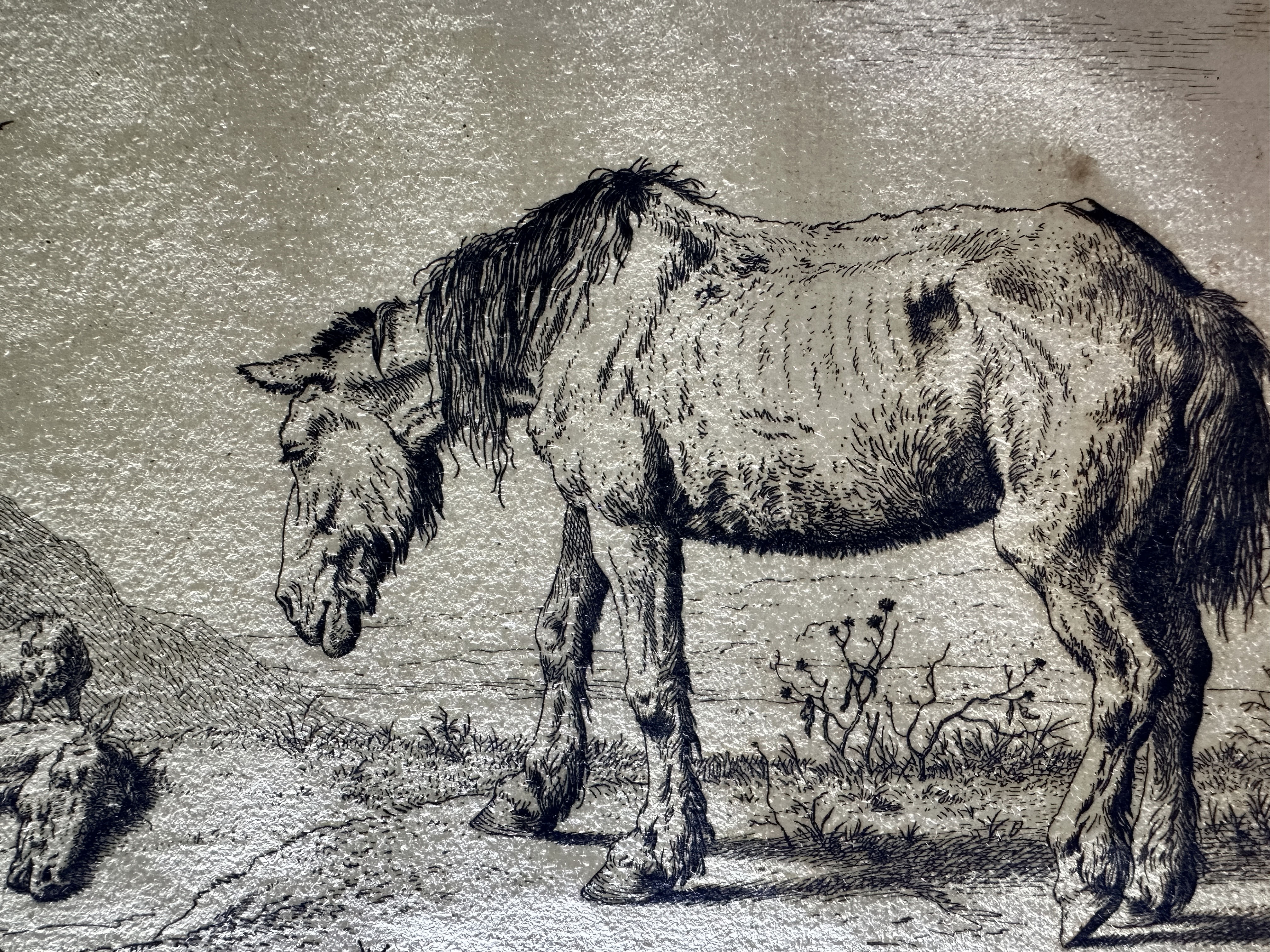 Paulus Potter – private impression (detail)