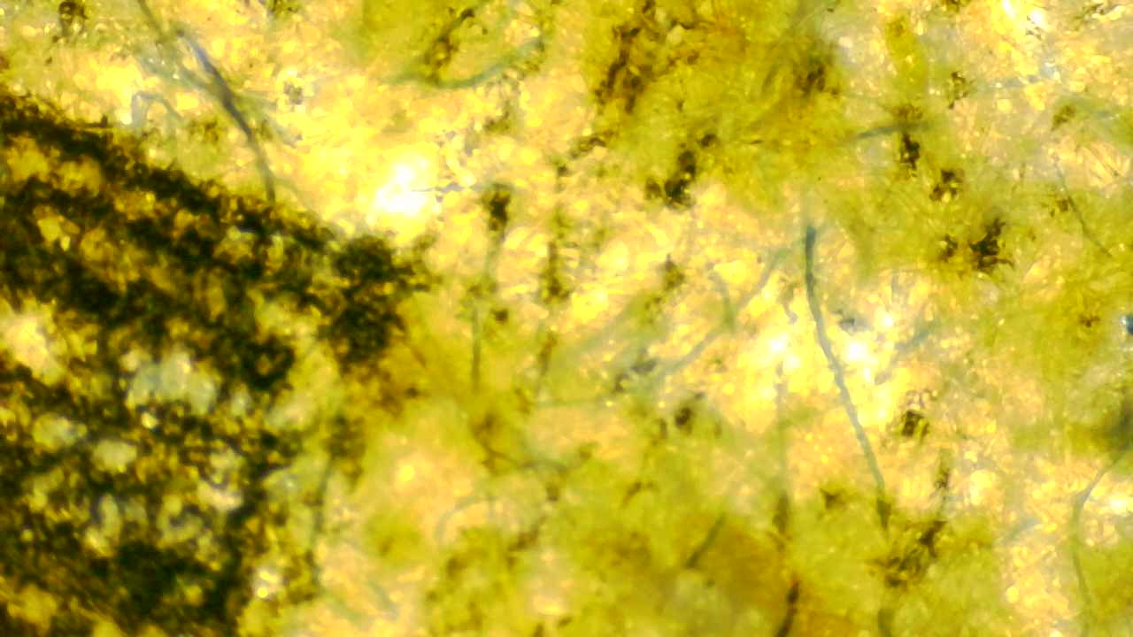 Blue Paper Fibers with Embedded Ink Lines