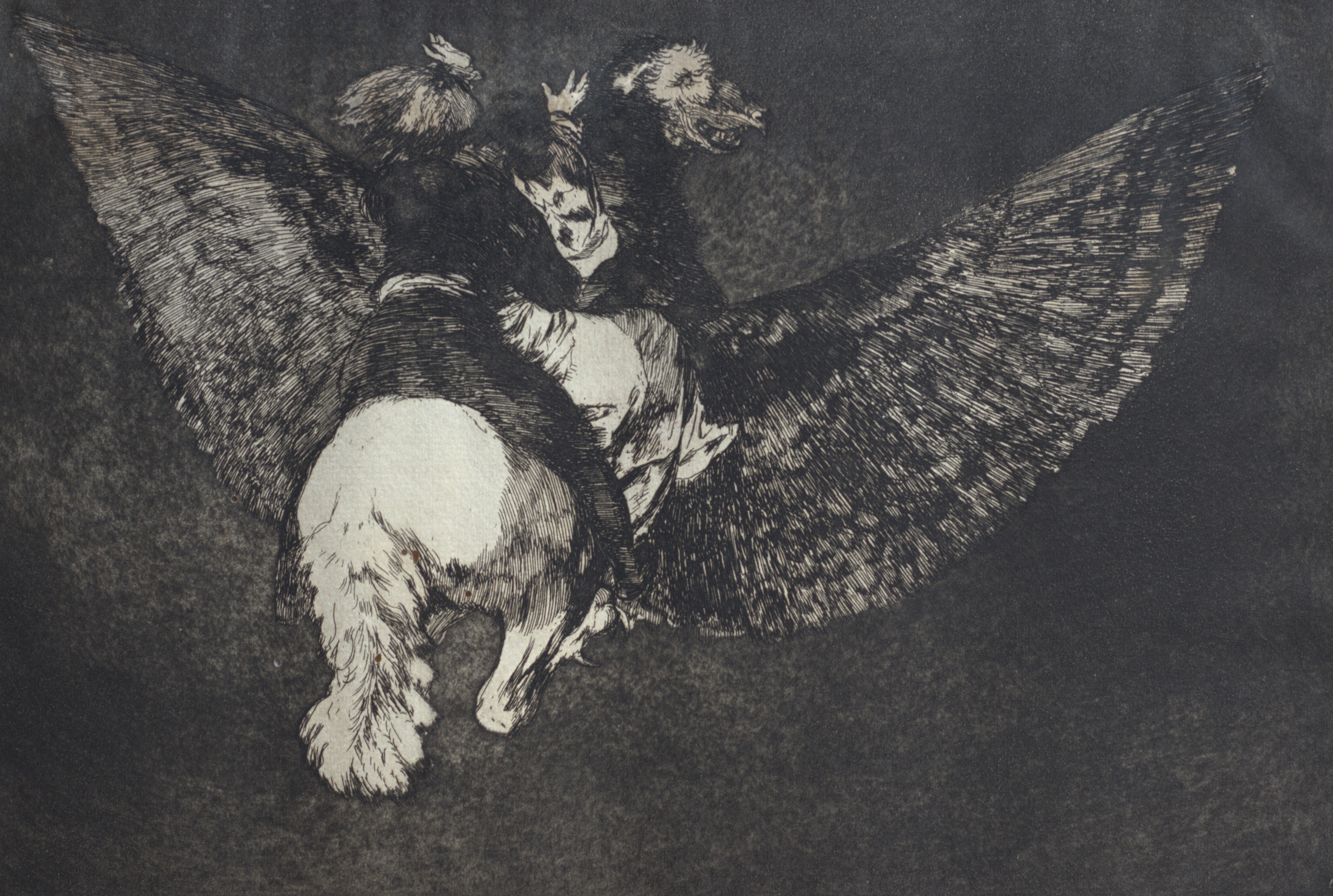 Los Disparates (Proverbs) — Francisco de Goya