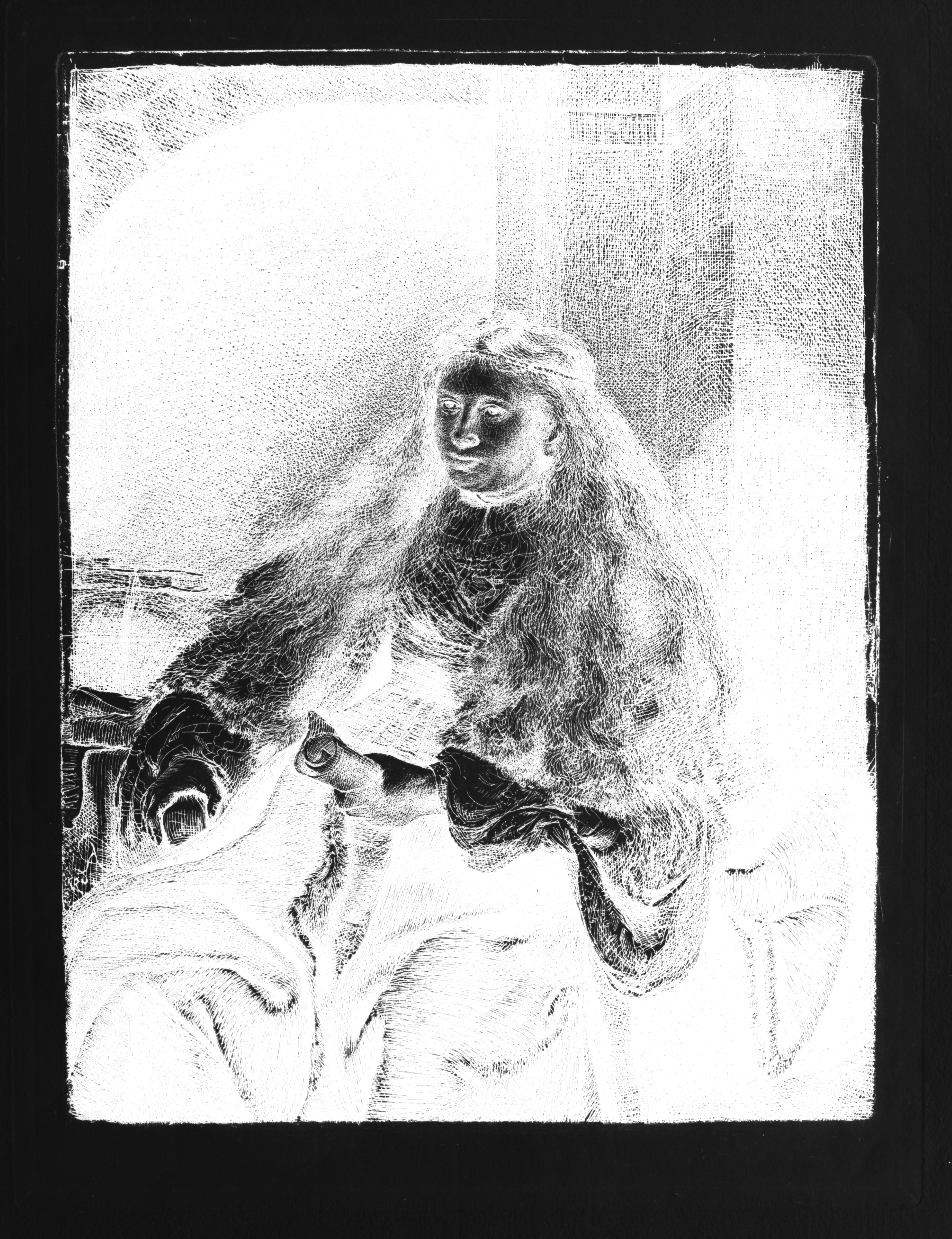 Tonal Inversion of the Full Print.