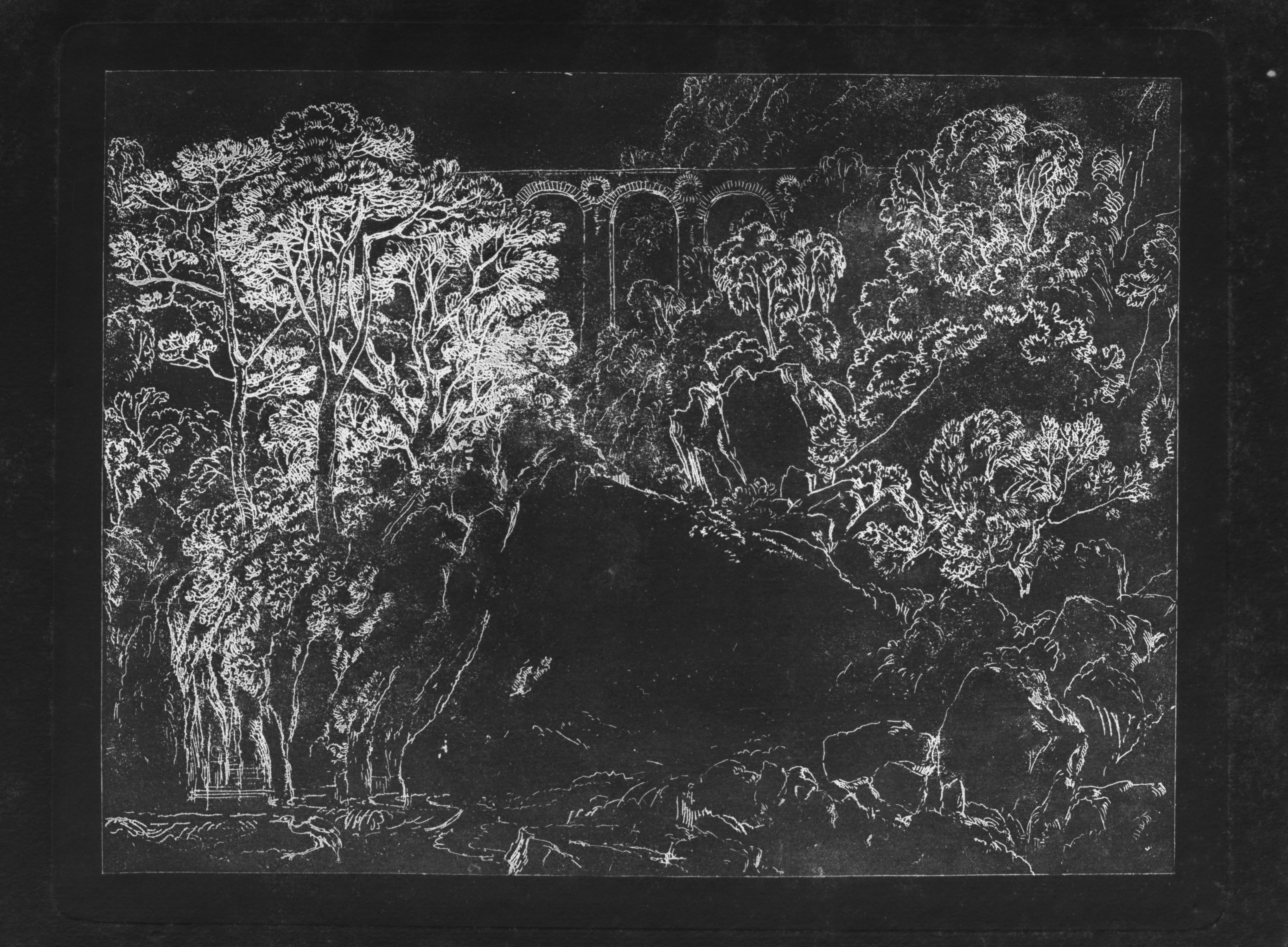 Full reverse (transmitted light)