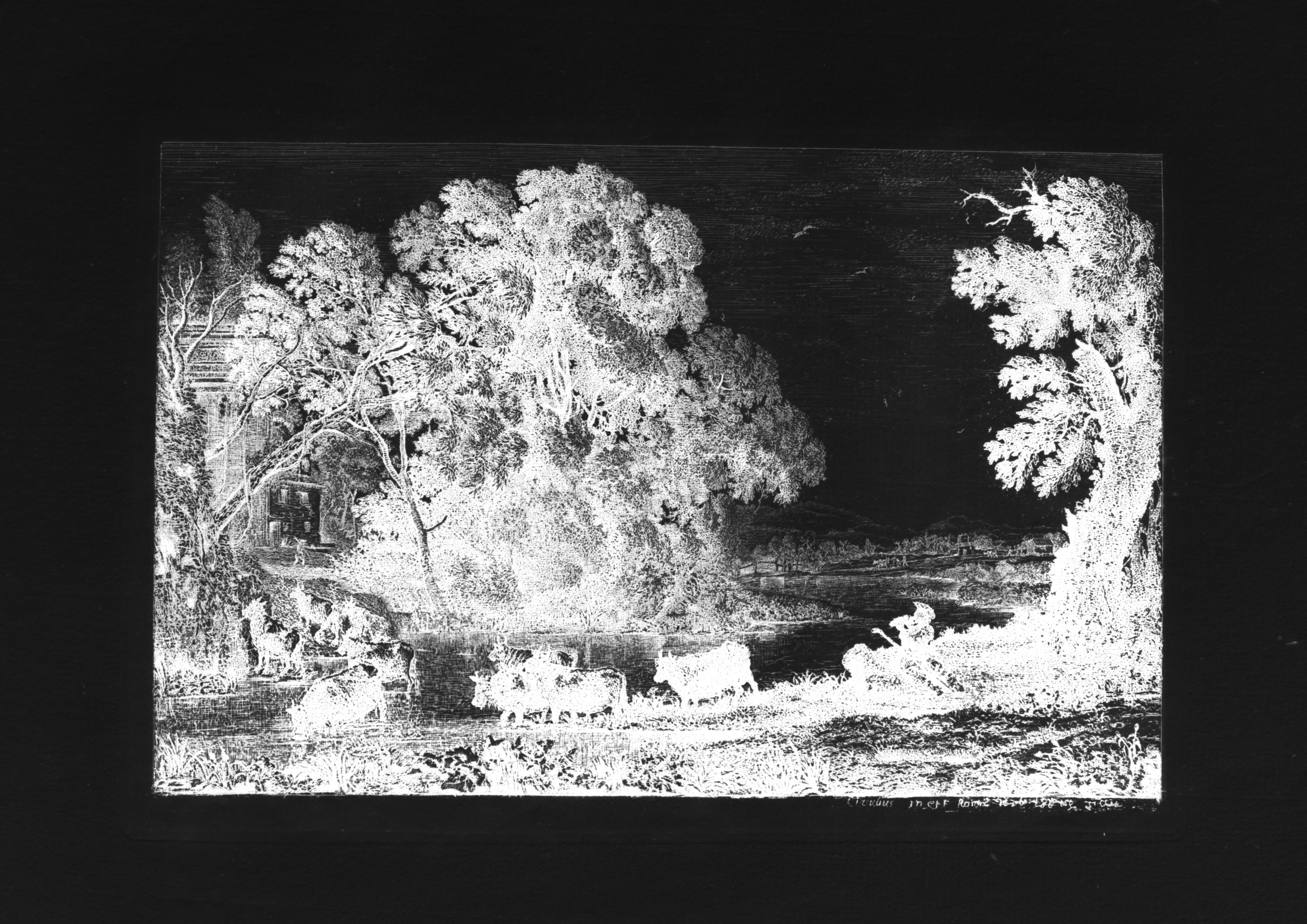 Full reverse (transmitted light)