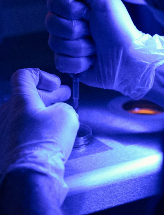 hands plunging a syringe onto a sample slide