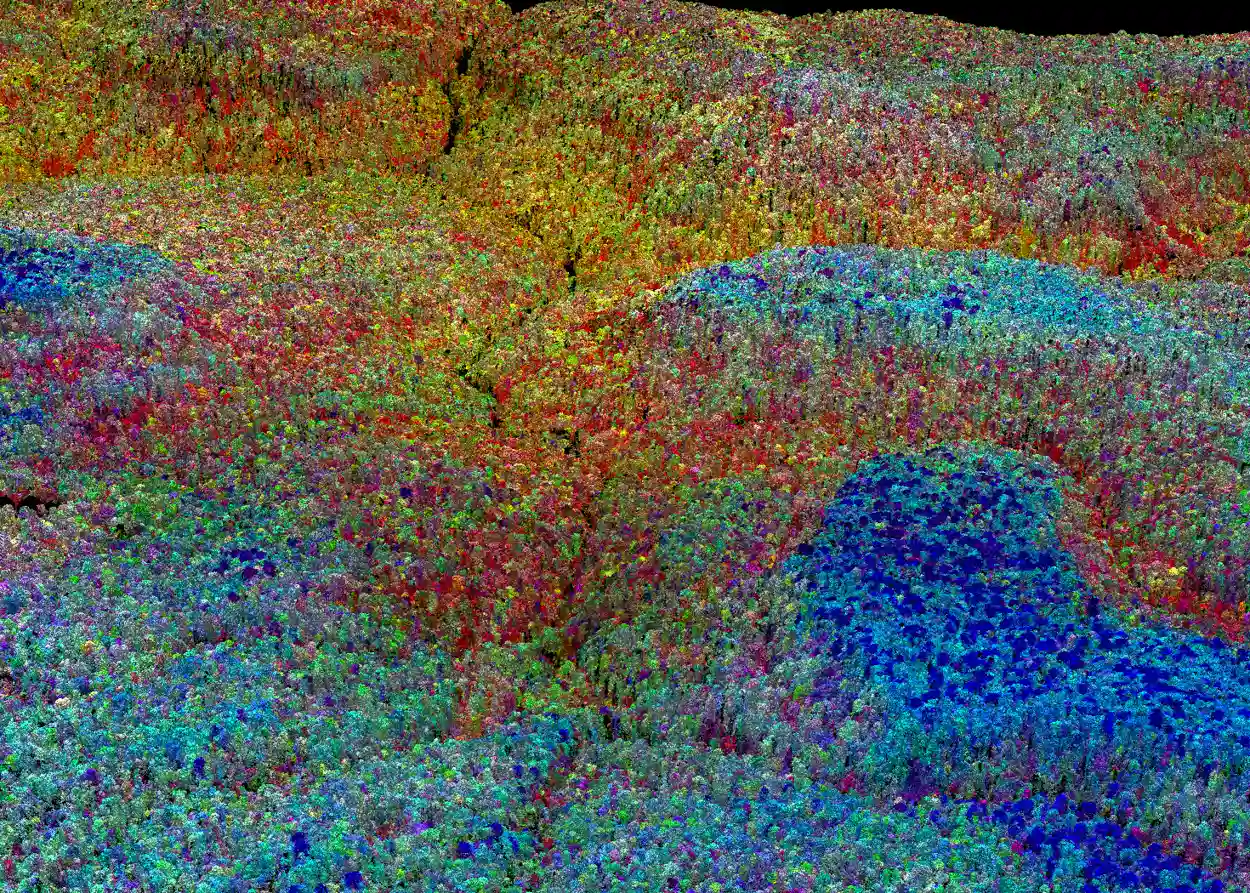 Aerial view of dense forest with varying colors indicating different vegetation or elevation levels.
