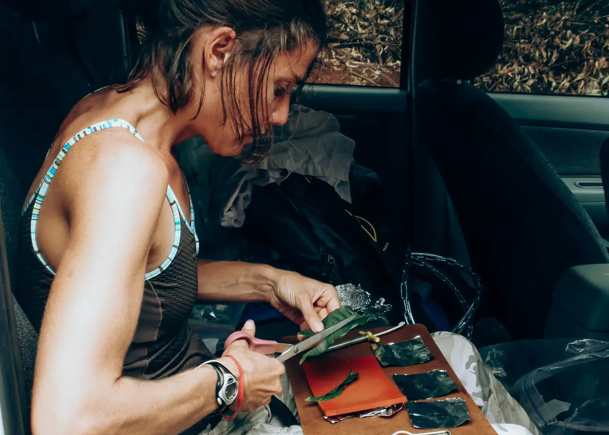 Woman sitting in car cutting green leaves with scissors on a clipboard with leaf samples.