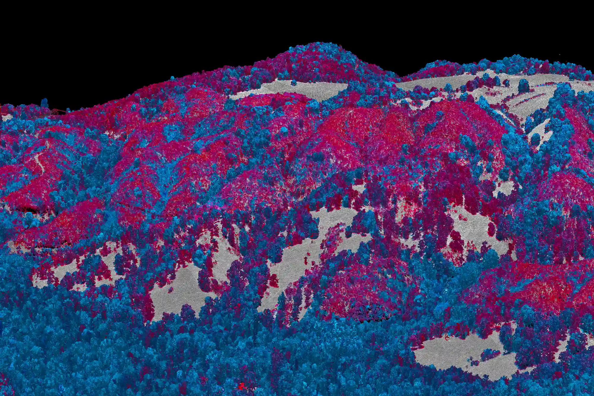 3D point cloud scan of a hilly landscape with red and blue colored vegetation and gray open areas.