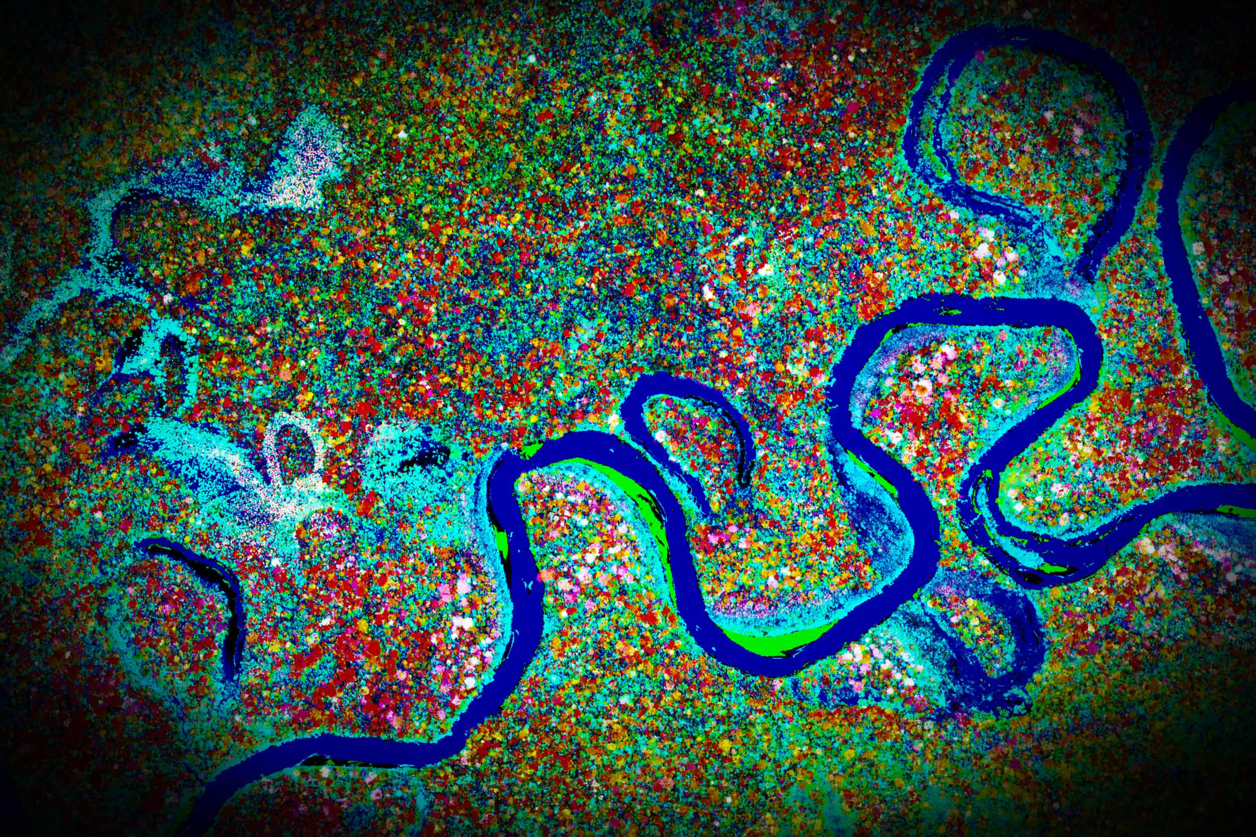 Colorful satellite view of a winding river through dense forest with varied vegetation colors.