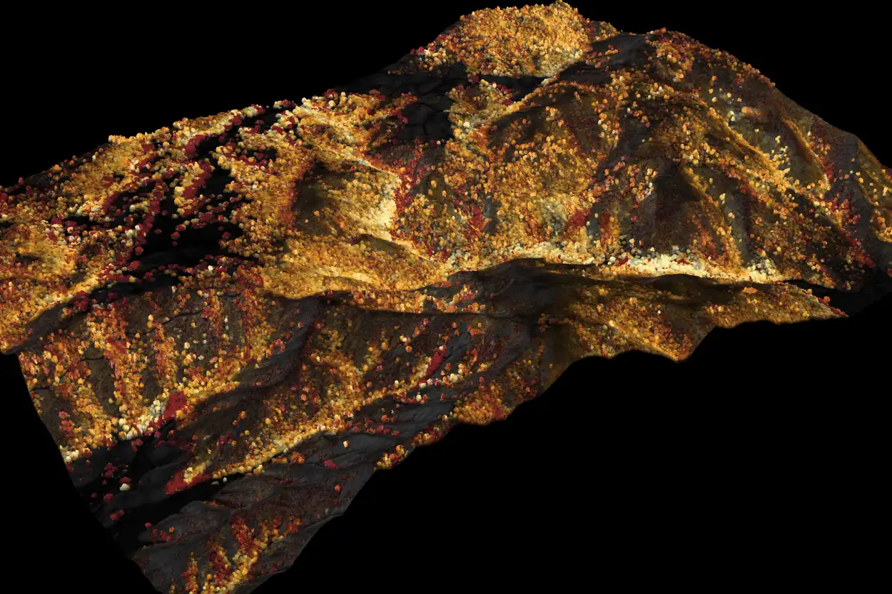 Topographic 3D model of a mountainous landscape with autumn-colored trees on slopes.