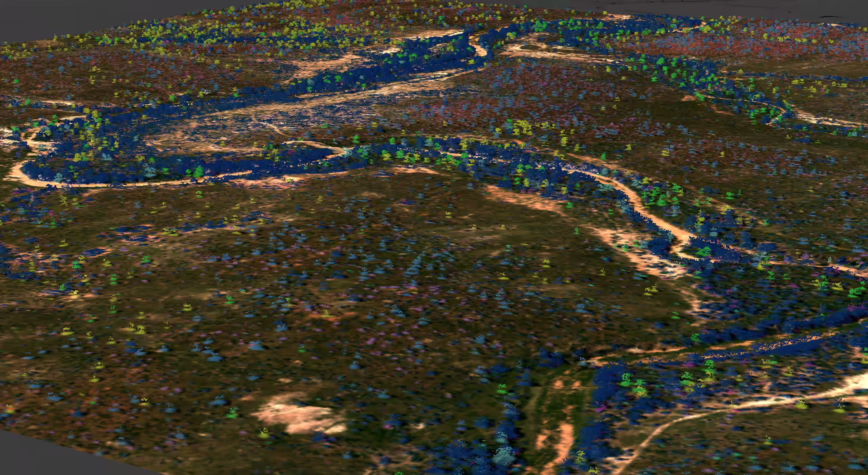 3D terrain map with winding rivers and scattered colorful vegetation patches across the landscape.